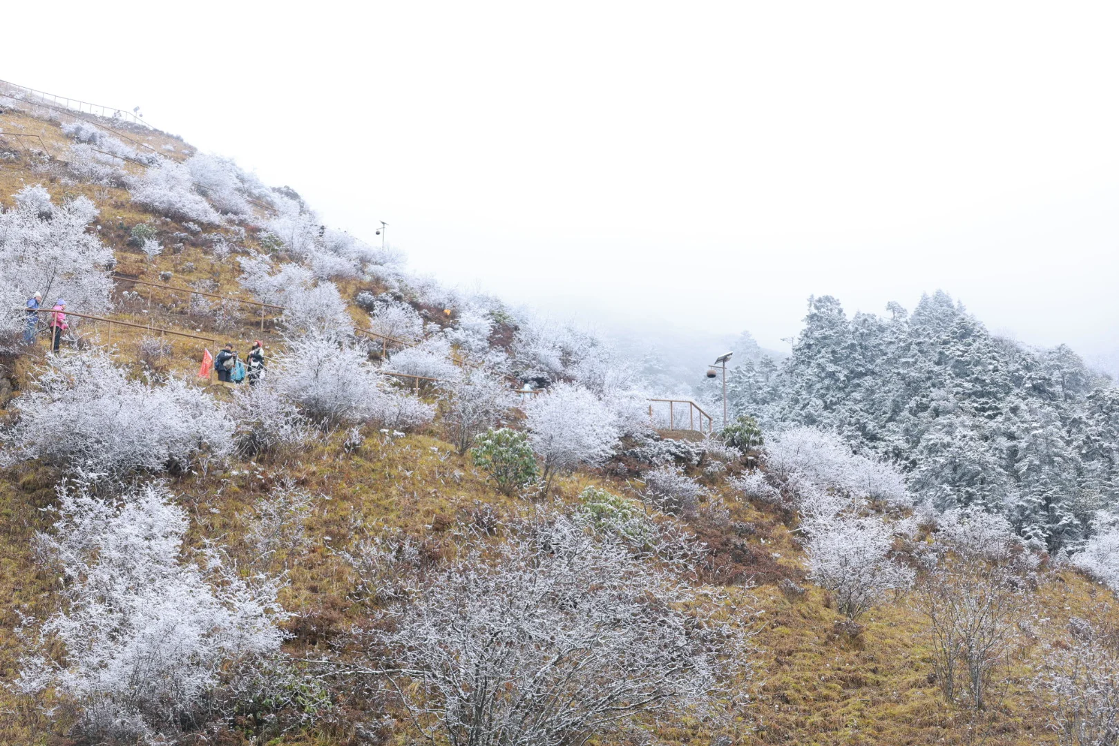 “山不向我走来，我便向山走去”