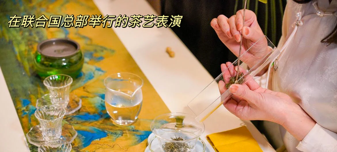 过完了国际茶日，还有悉尼茶博会