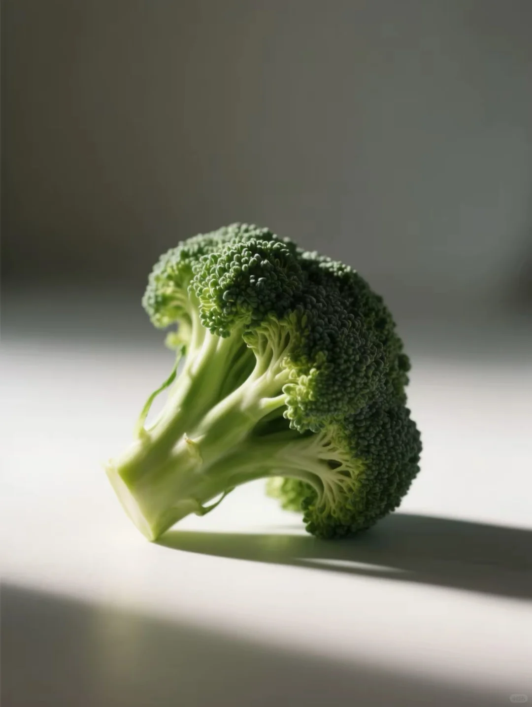 有你们喜欢的蔬菜吗