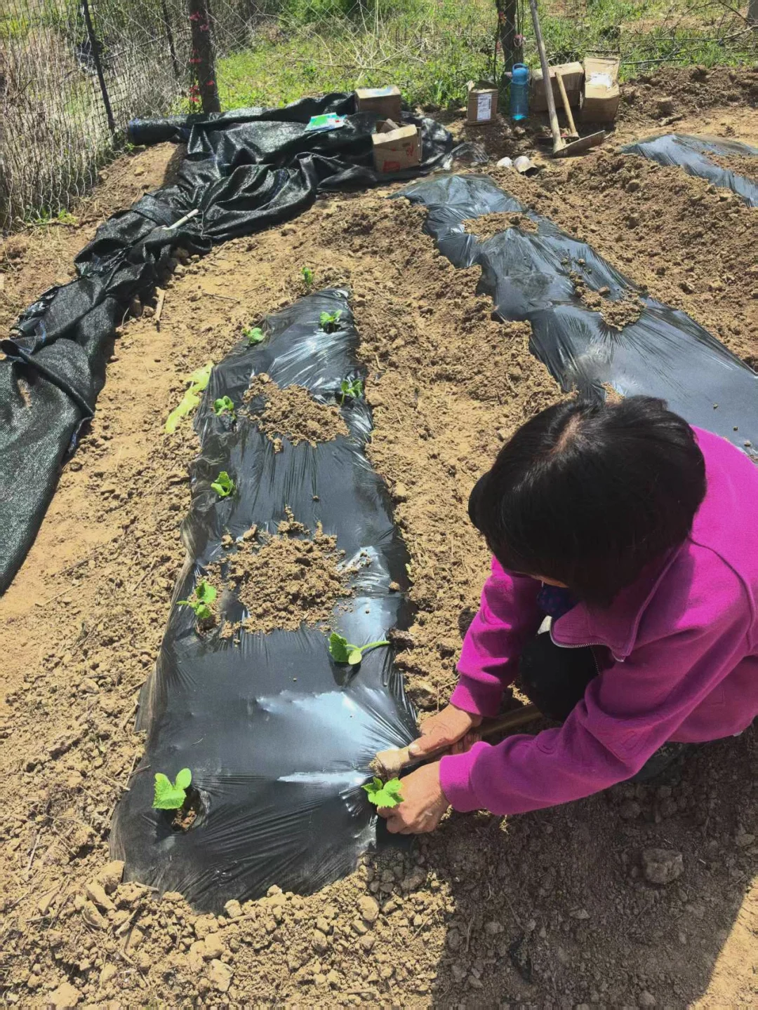 别被网红农场骗了真实的农场创业是这样的