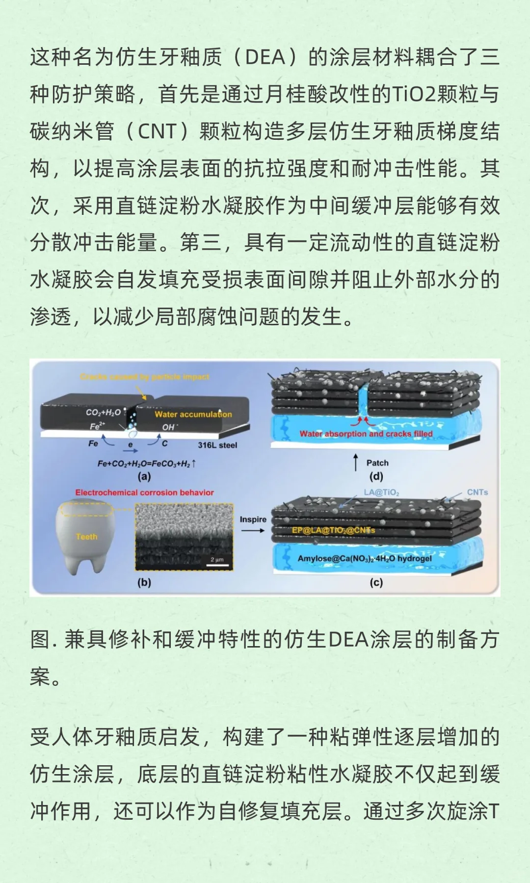 一种仿生牙釉质超疏水耐磨涂层的制备方法