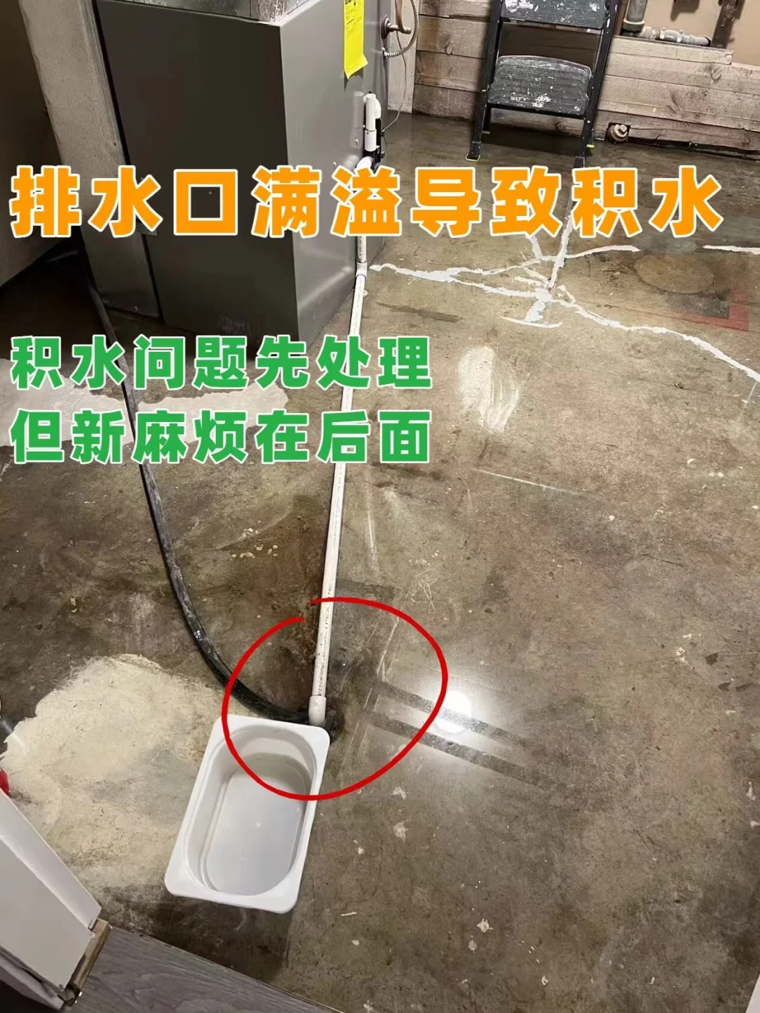 重生记｜地下室变身