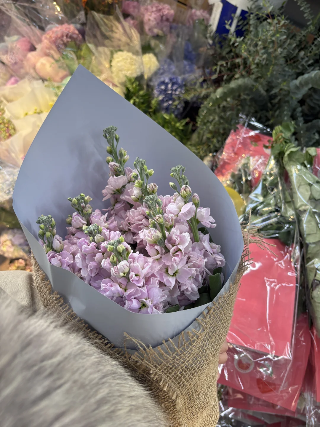 想建立一个新传读书小组