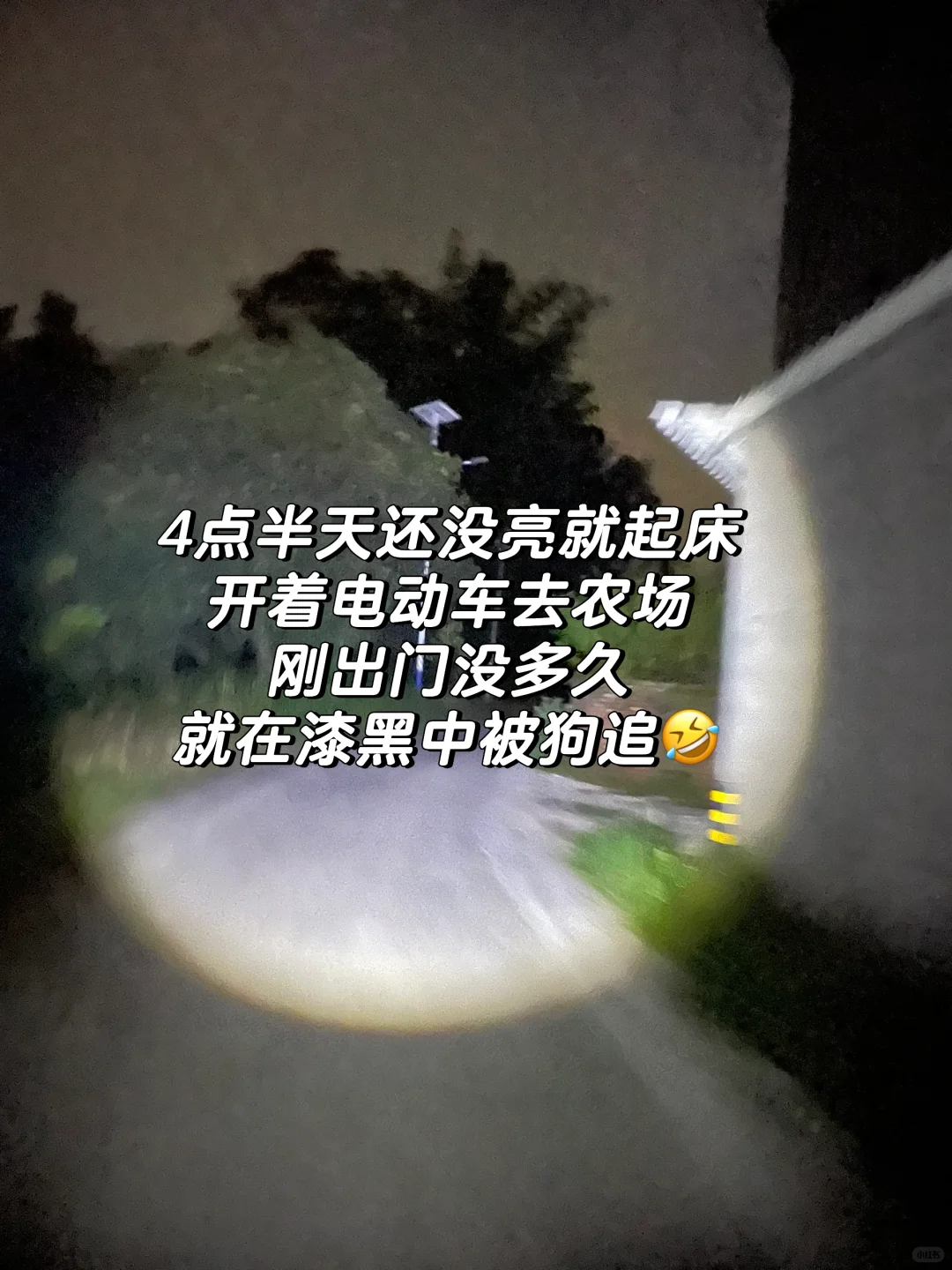 女人真的不能搞农场！