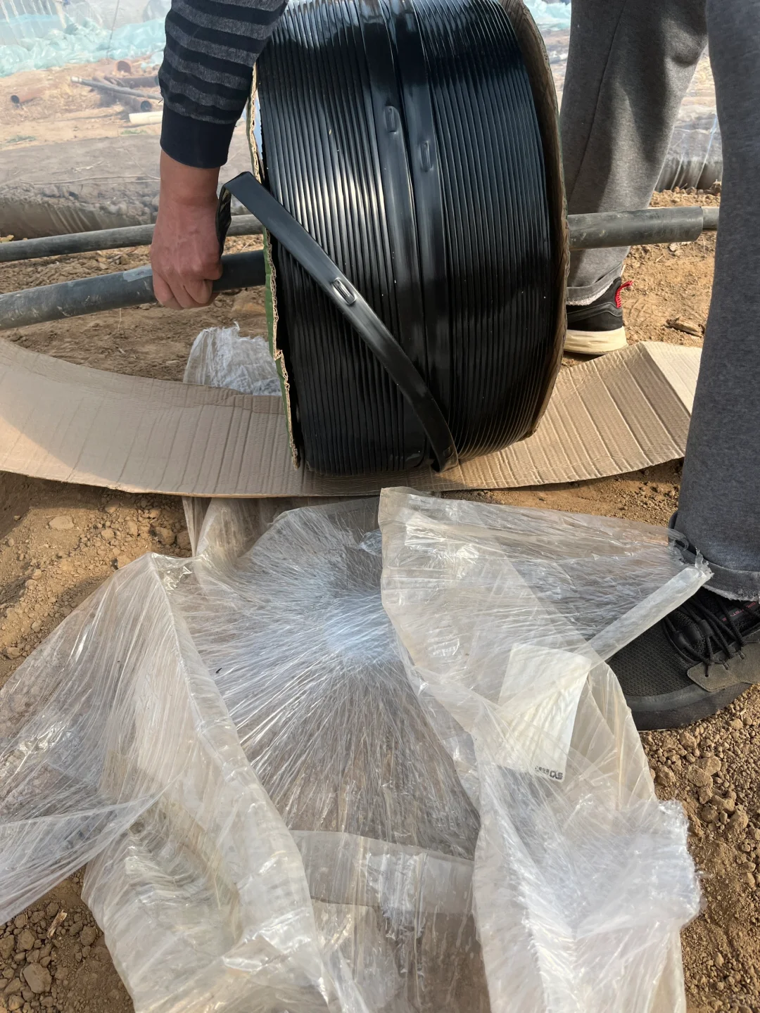 3年1万租大棚，周末兼职有机农民