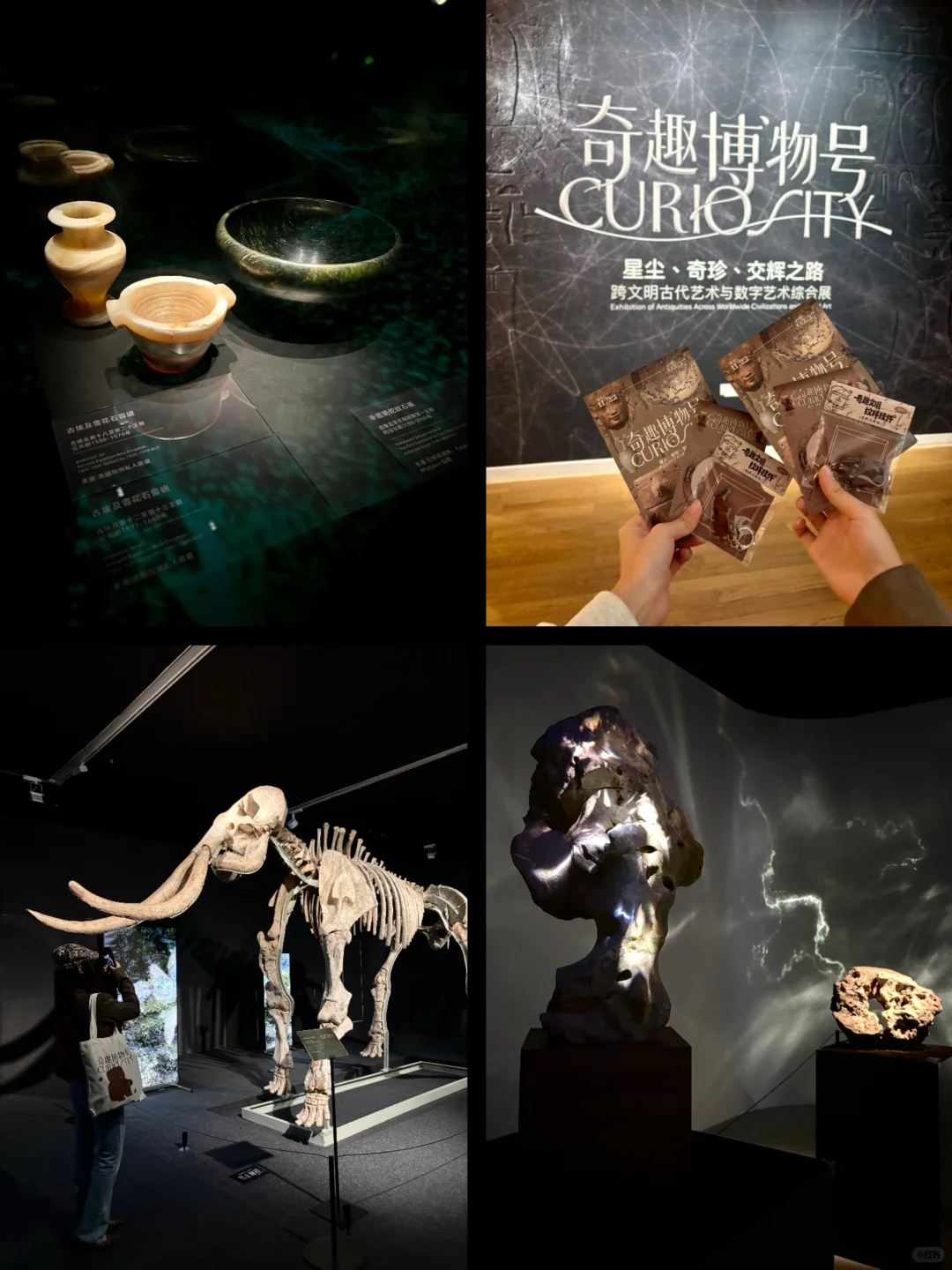 数字艺术 x 真品文物，解锁看展新体验✨