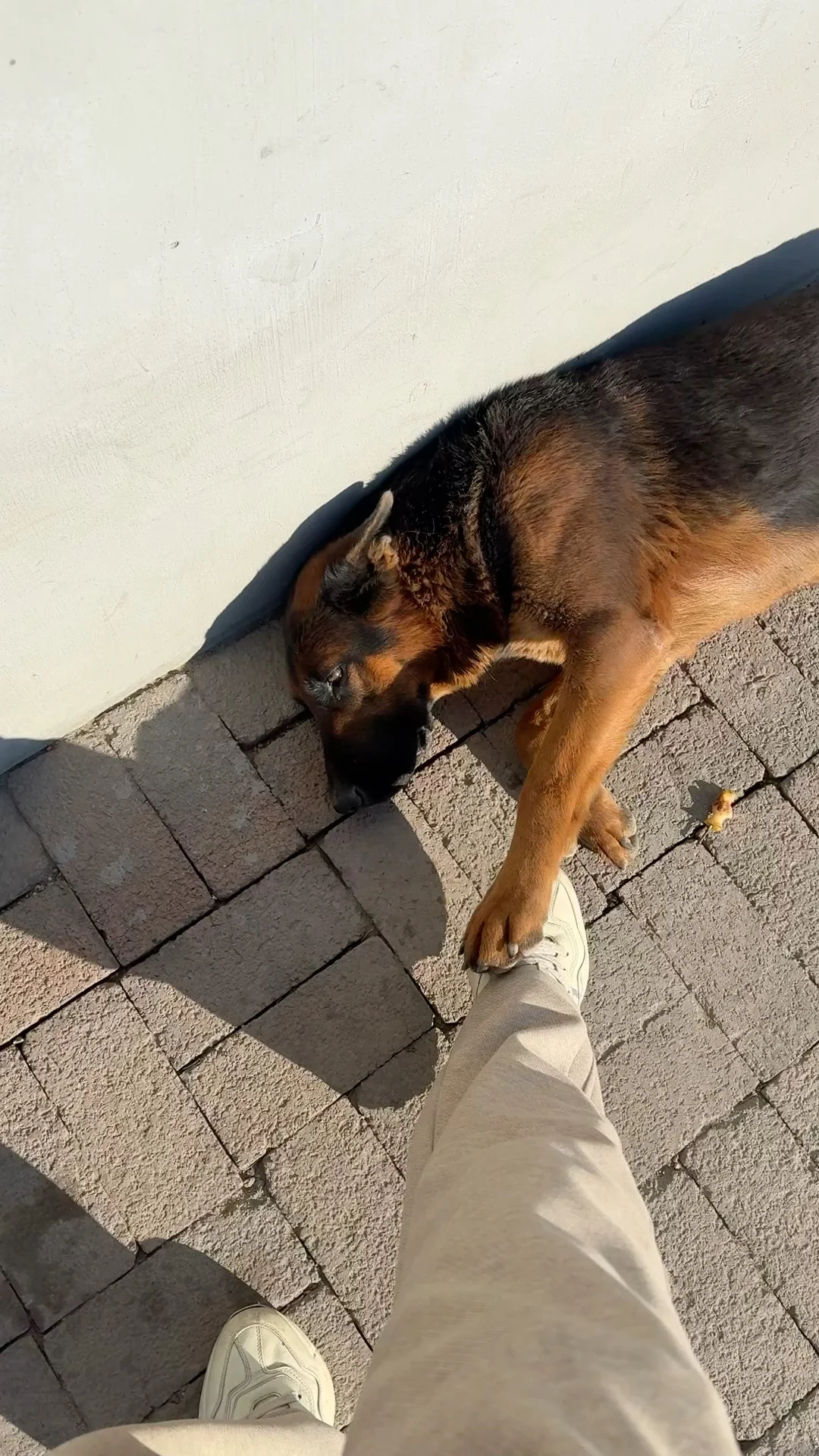 从事废品行业的00后