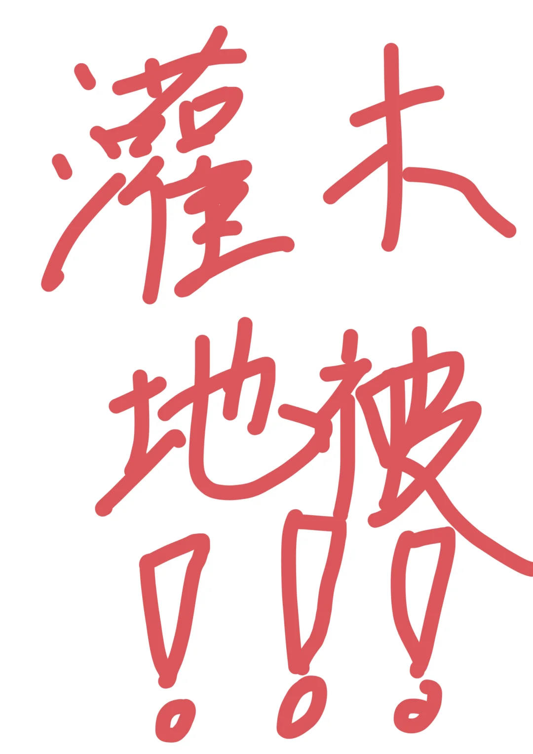 保定7000余亩大型苗木基地