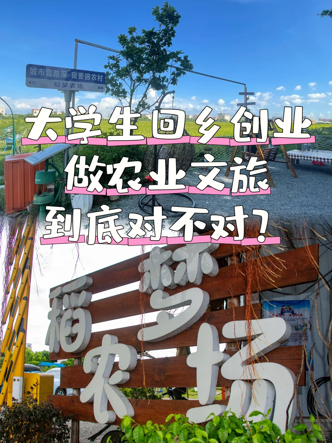 乡村振兴 | 大学生回乡创业做农业文旅