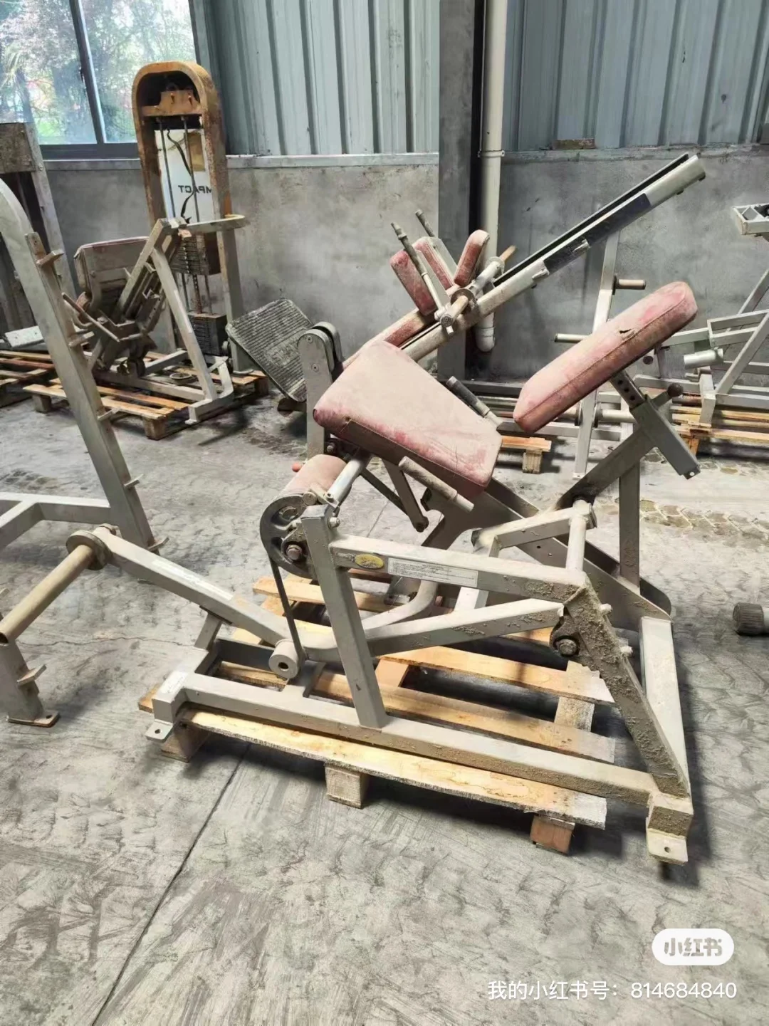 ??美国留子！传奇故事2w捡漏100w健身房？ 2