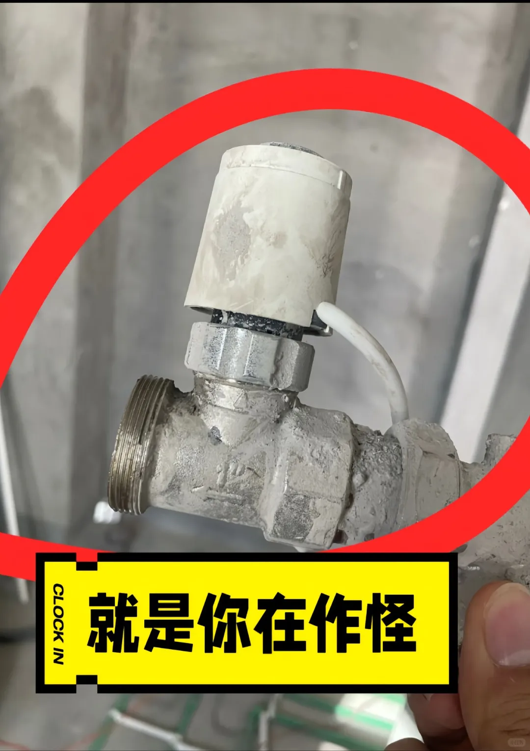 快去看看你家有没有这个东西？