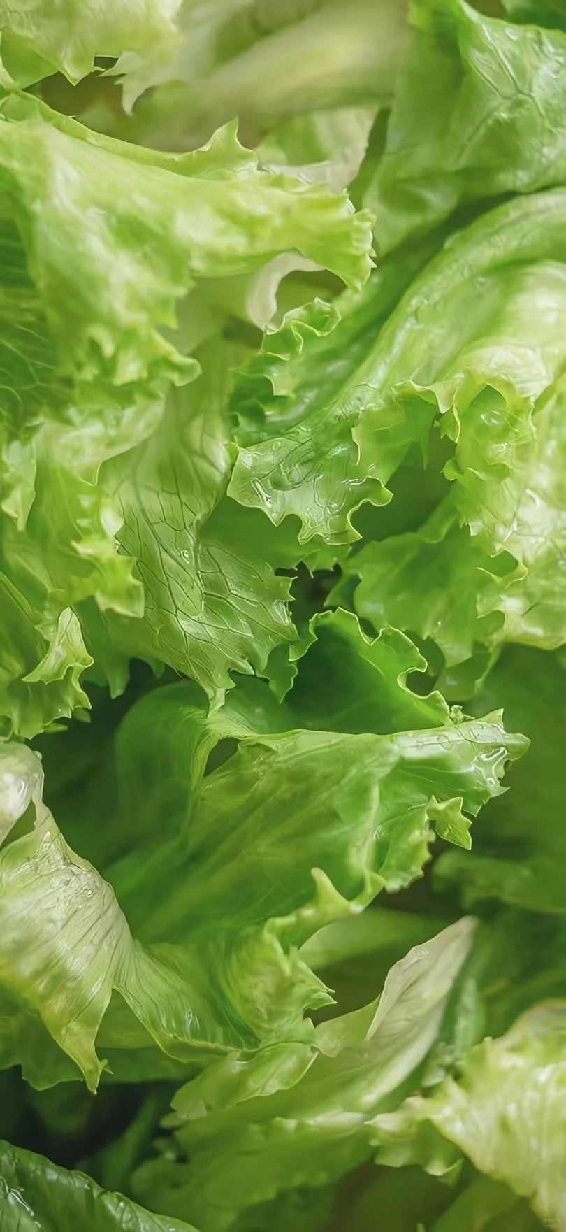 治愈系蔬菜壁纸～
