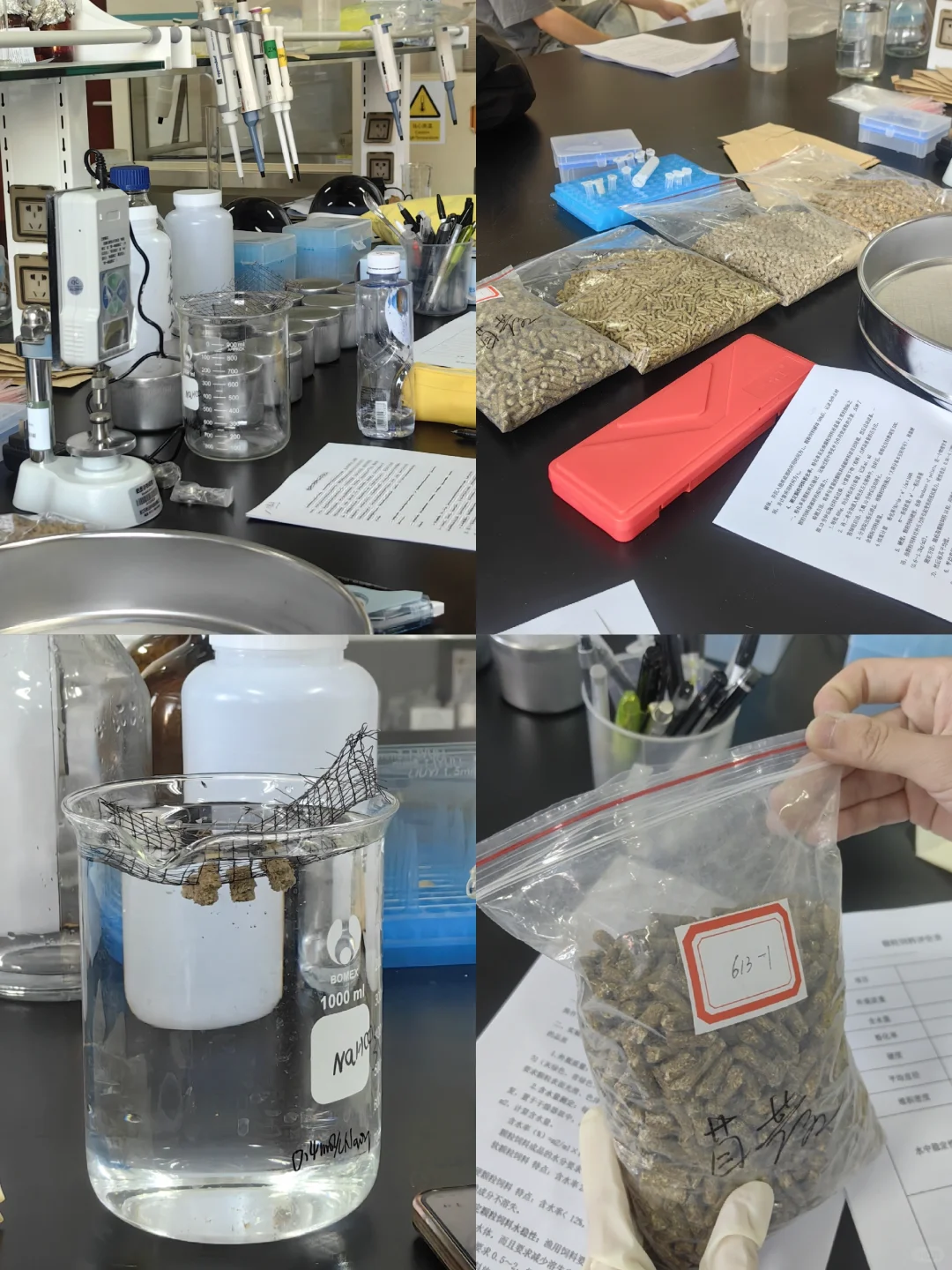 2︱草产品加工︱颗粒饲料品质鉴定