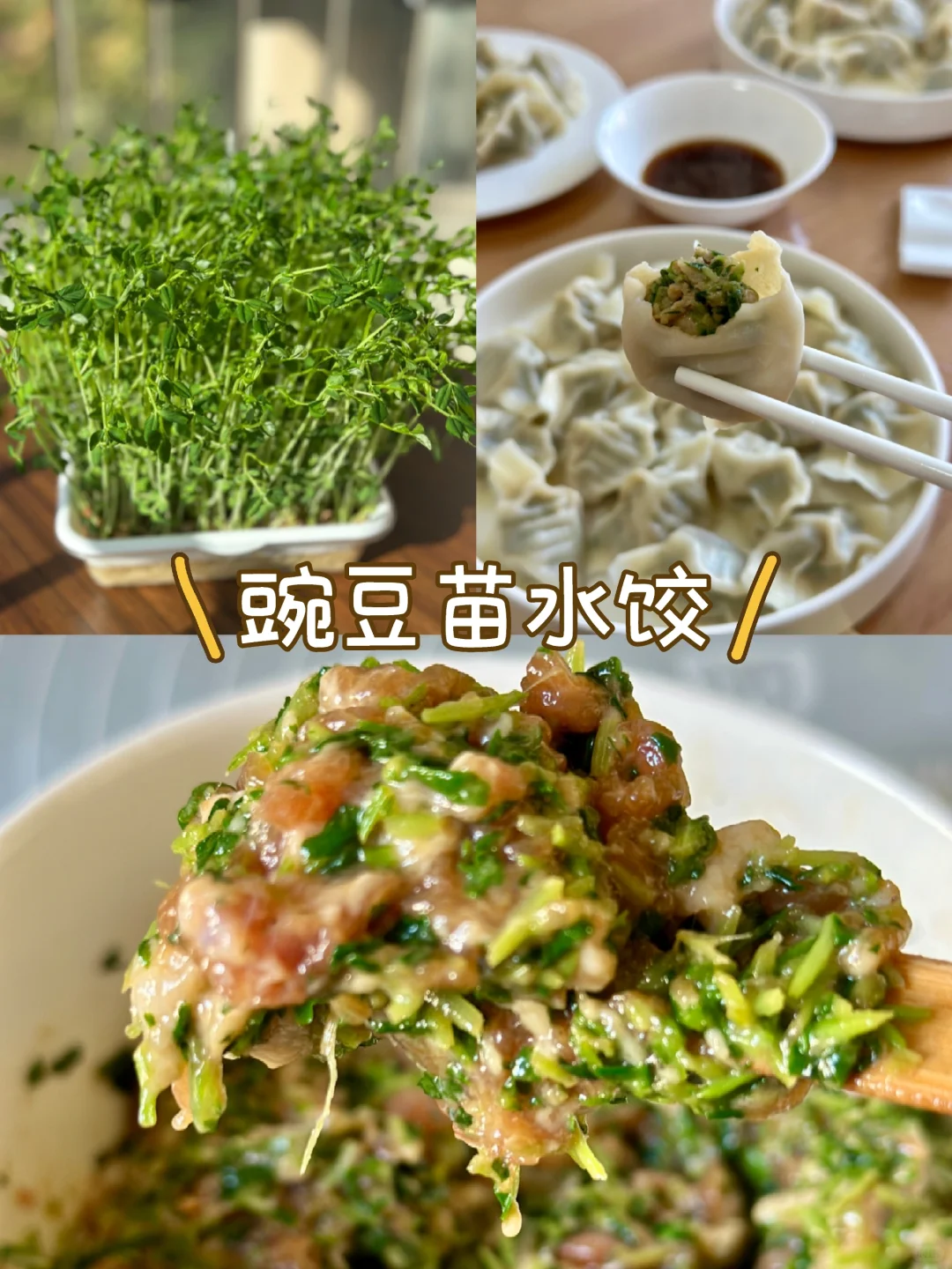 豌豆苗猪肉饺子直接封神！
