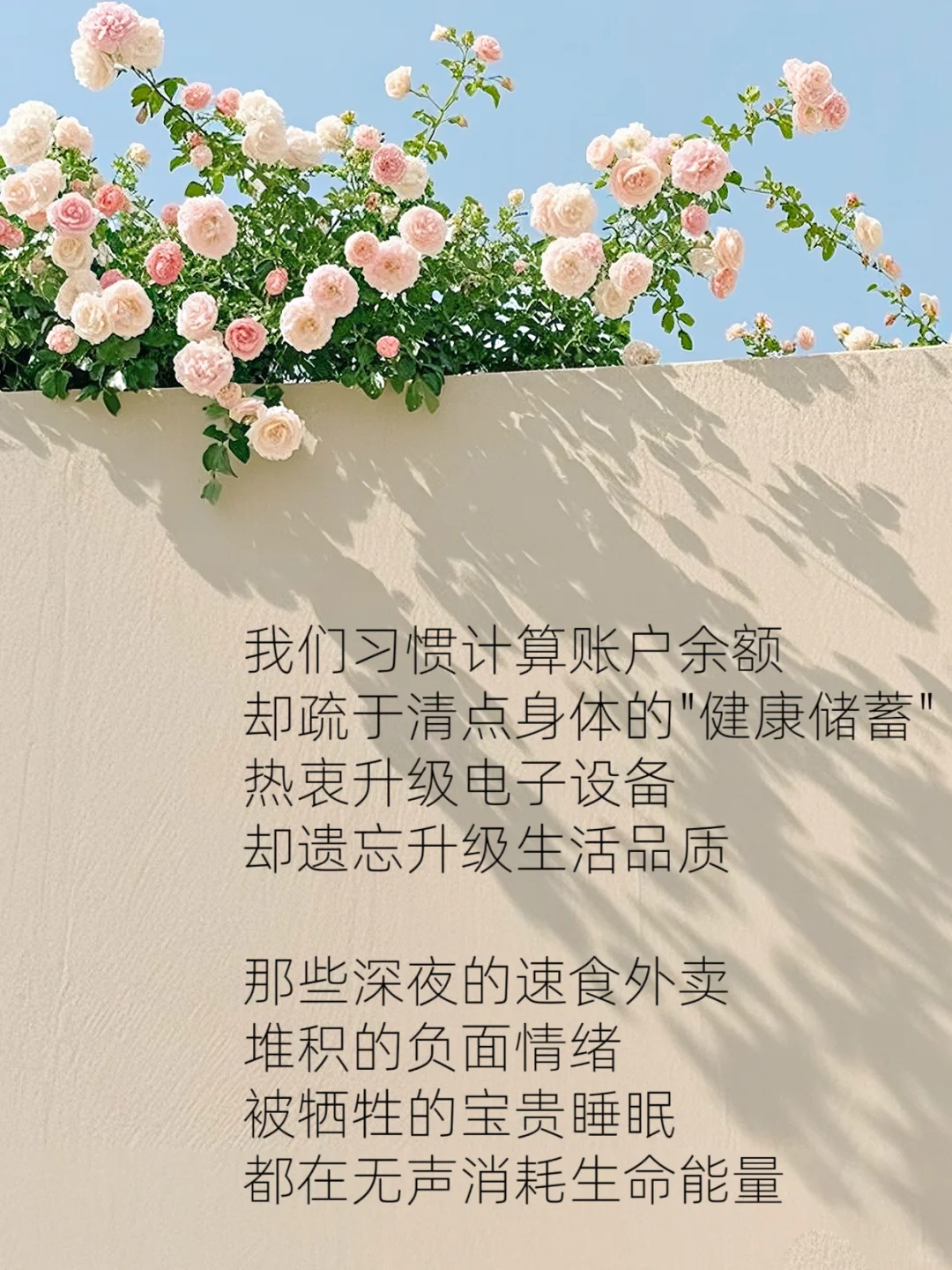 每日养生小知识?慢养人生