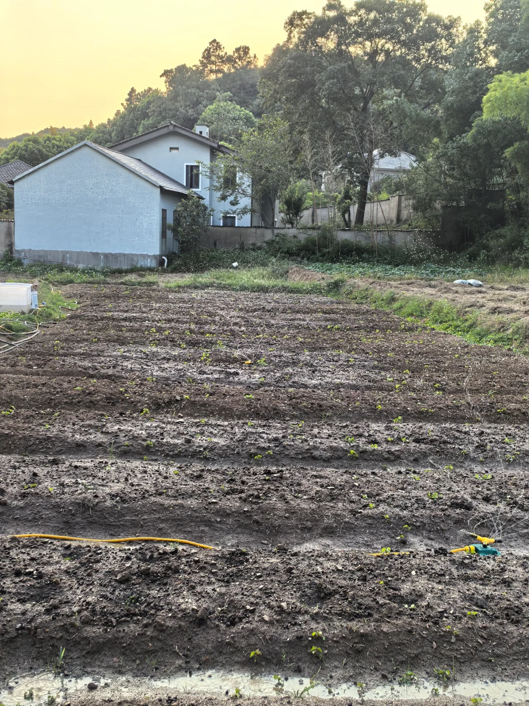 建一个小型农场需要多少费用？