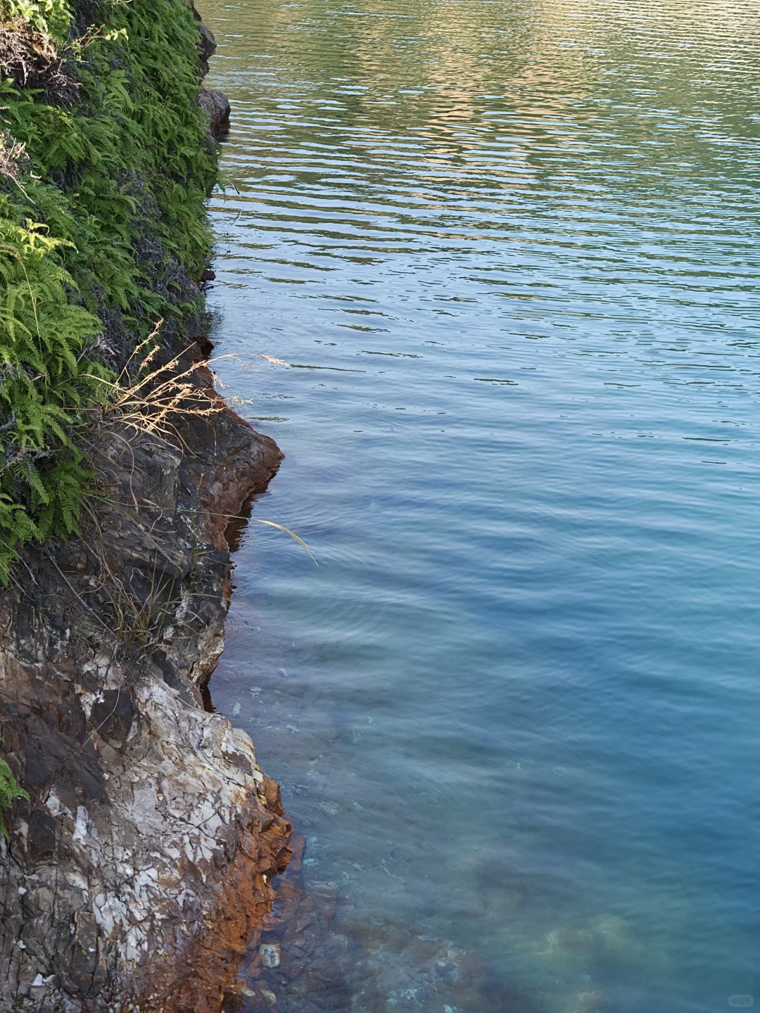 live苏州新坐标，翡翠湖超全打卡攻略?