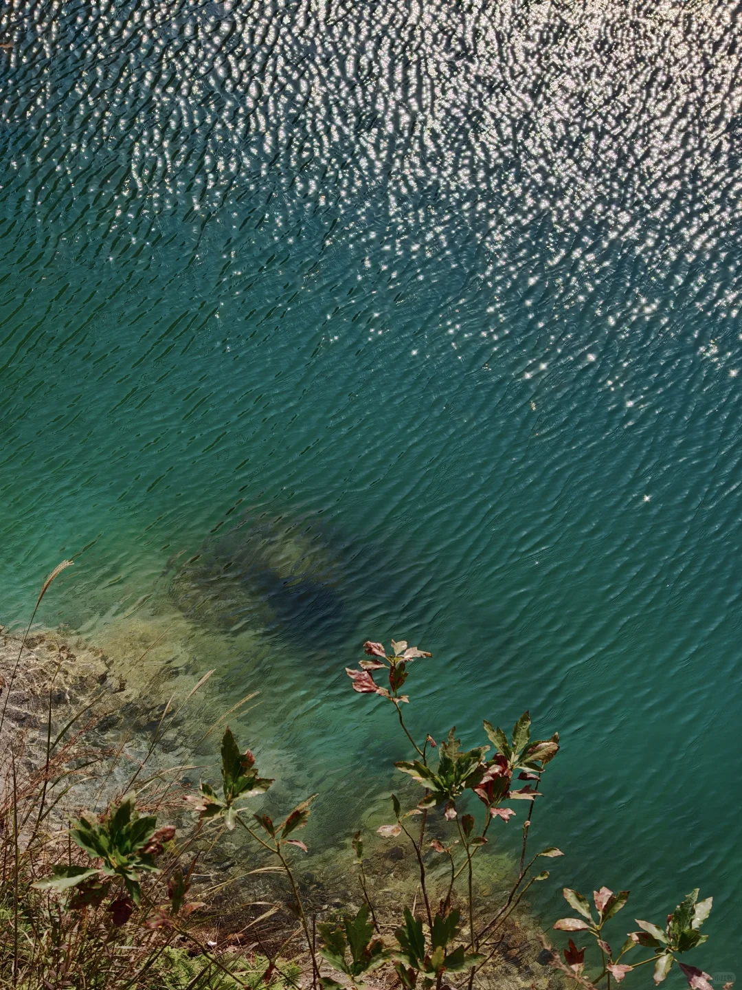 live苏州新坐标，翡翠湖超全打卡攻略?