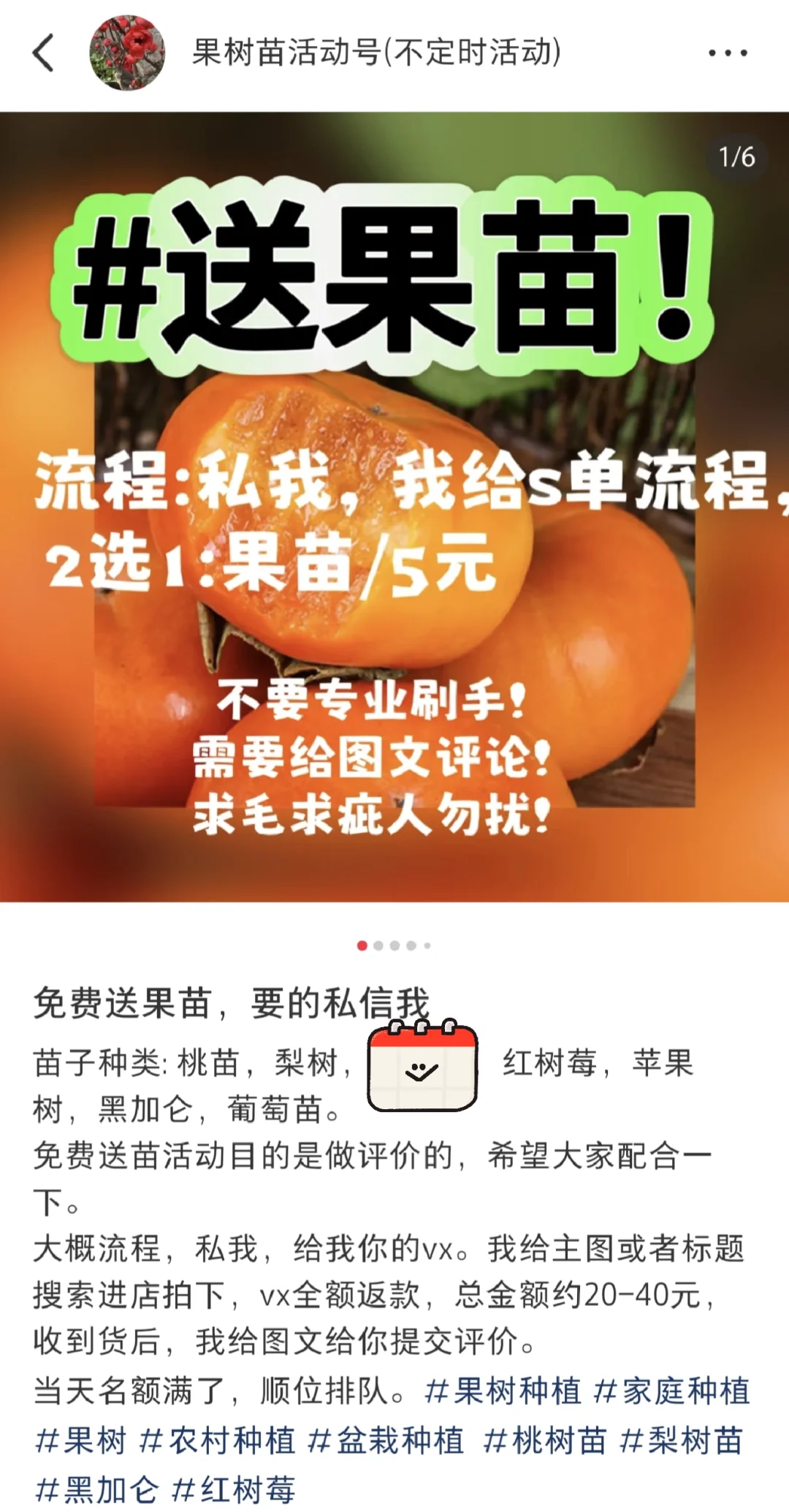 喜欢种植的宝子们 ，可以看下，