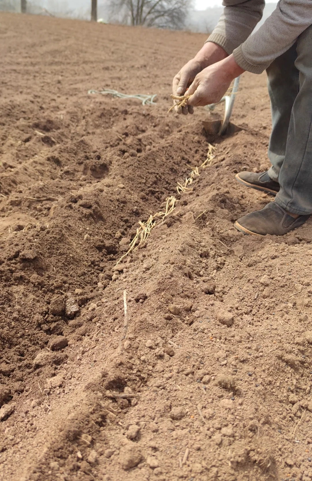 读了大学有什么用？还不是回来种地了