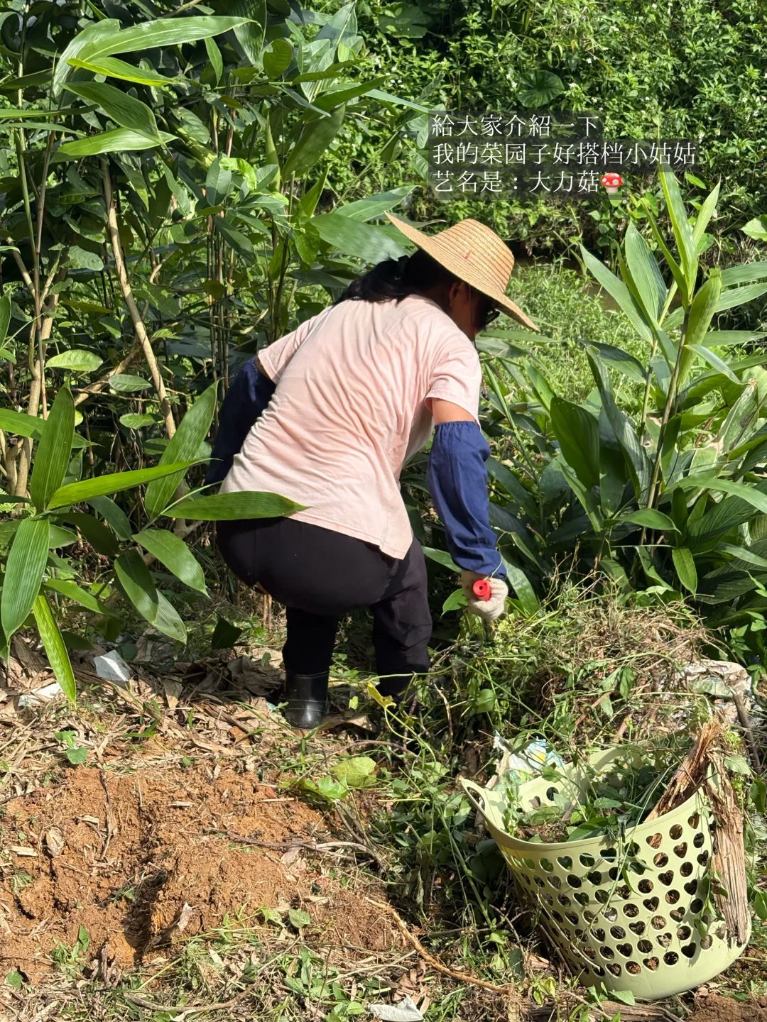 28岁在农村成为一名农场主是怎么样的体验?