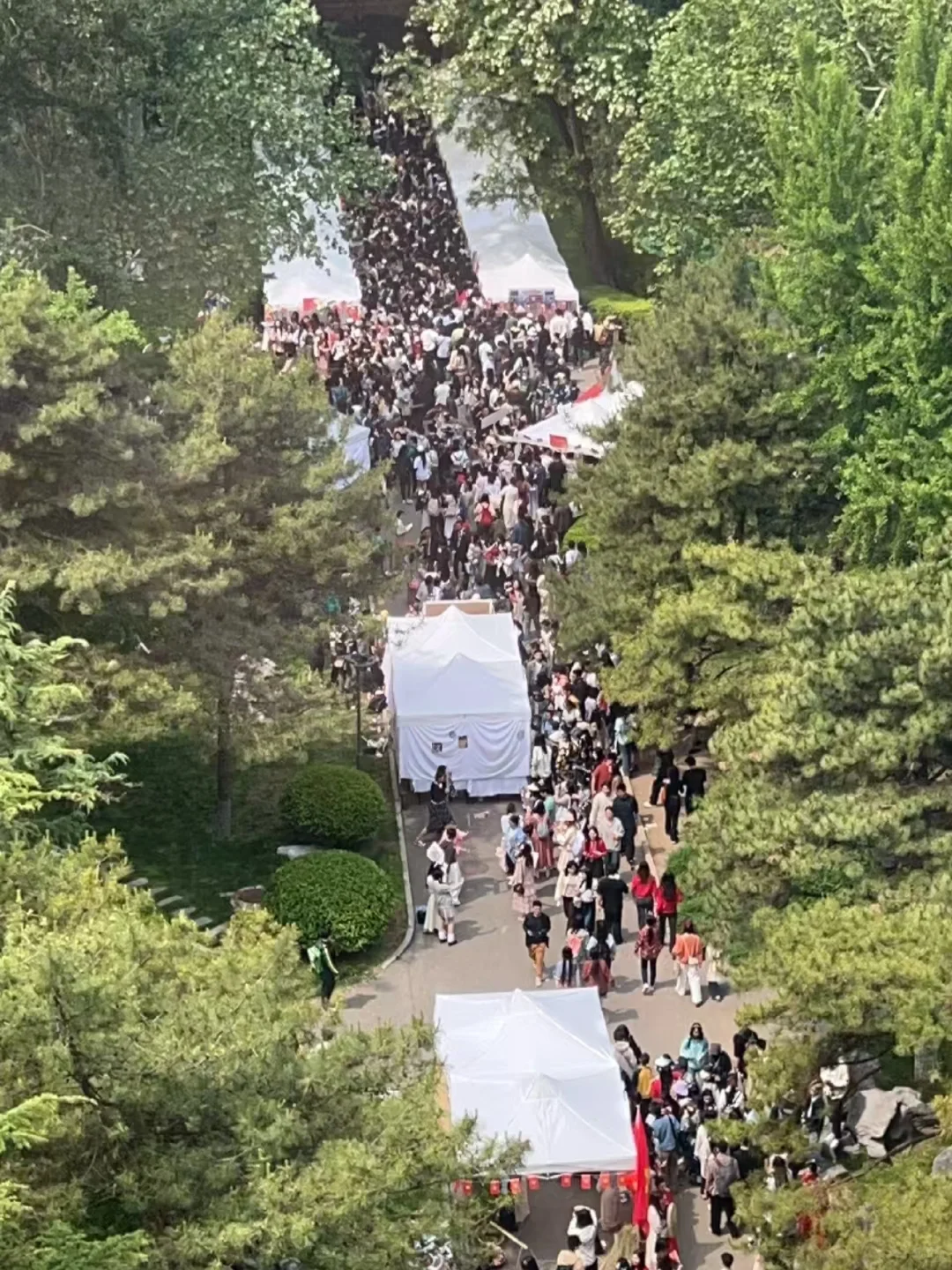 ?一天看遍万国?必须是北语世界文化节