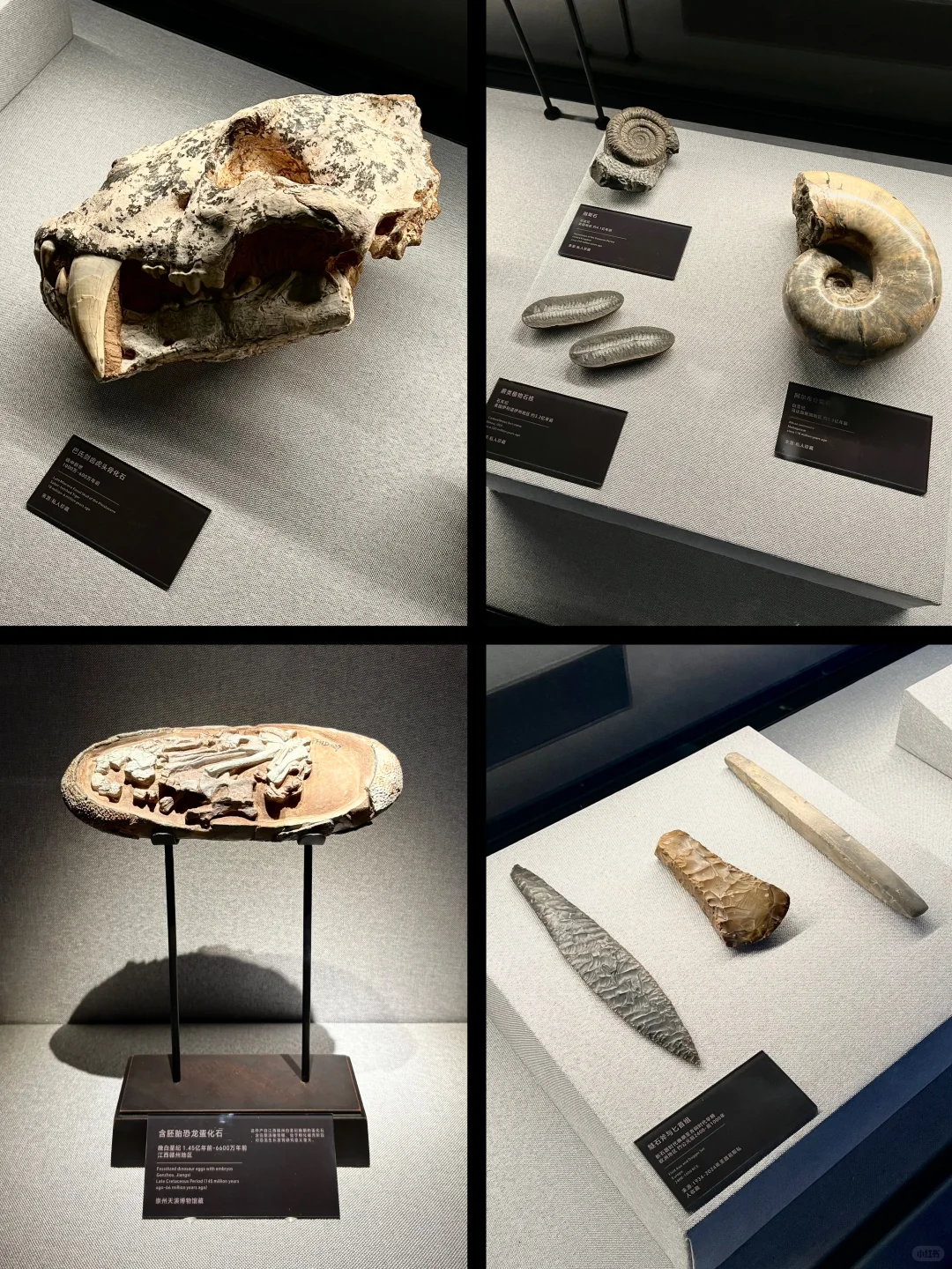 数字艺术 x 真品文物，解锁看展新体验✨