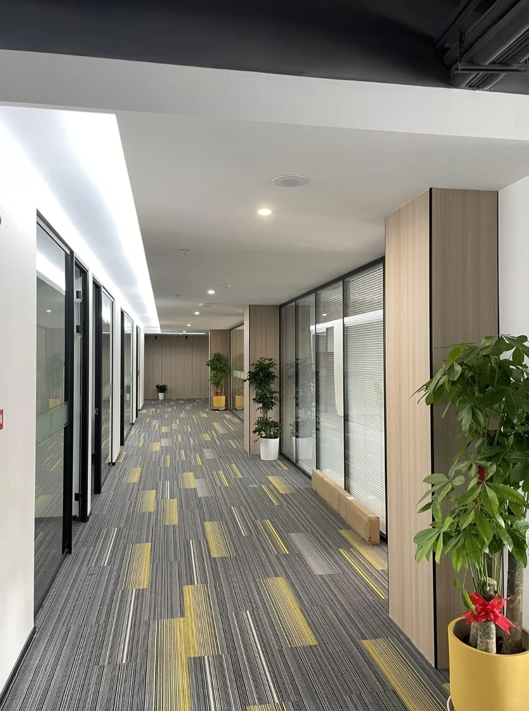 设计师最喜欢的极简风办公室玻璃隔断设计