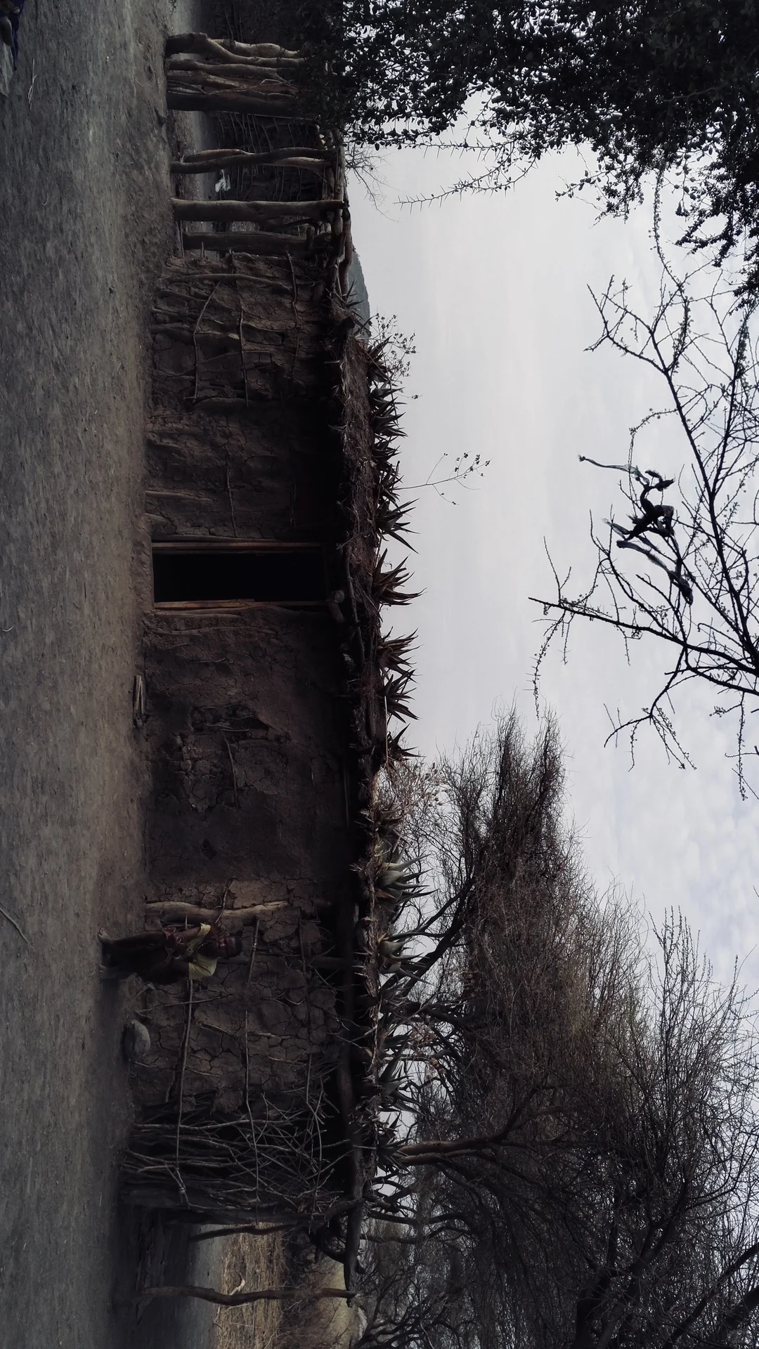 在坦桑，一夫多妻的代价有多大？