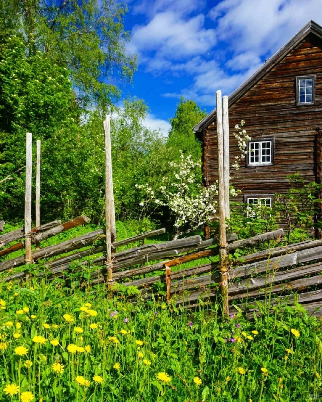 ?抓住2024乡村文旅红利，创业赚钱两不误