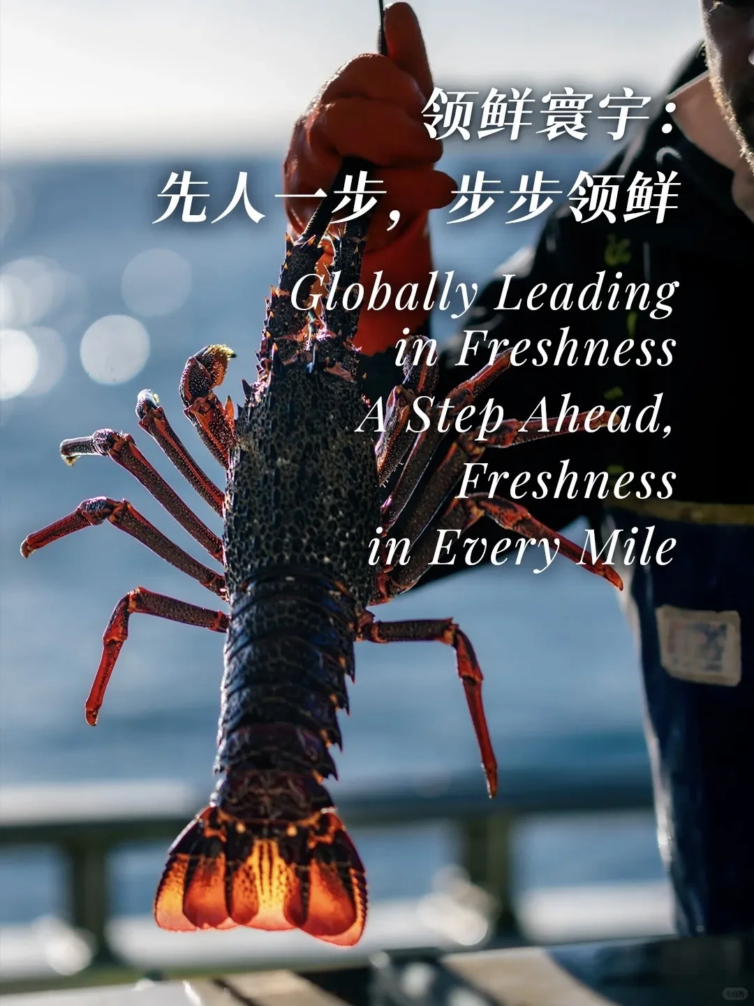 运输流程新升级?完成清关手续只需3小时？