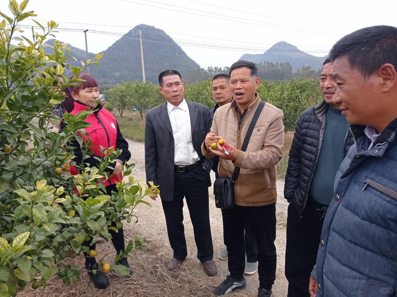 田间课堂-交流经验，精进技术