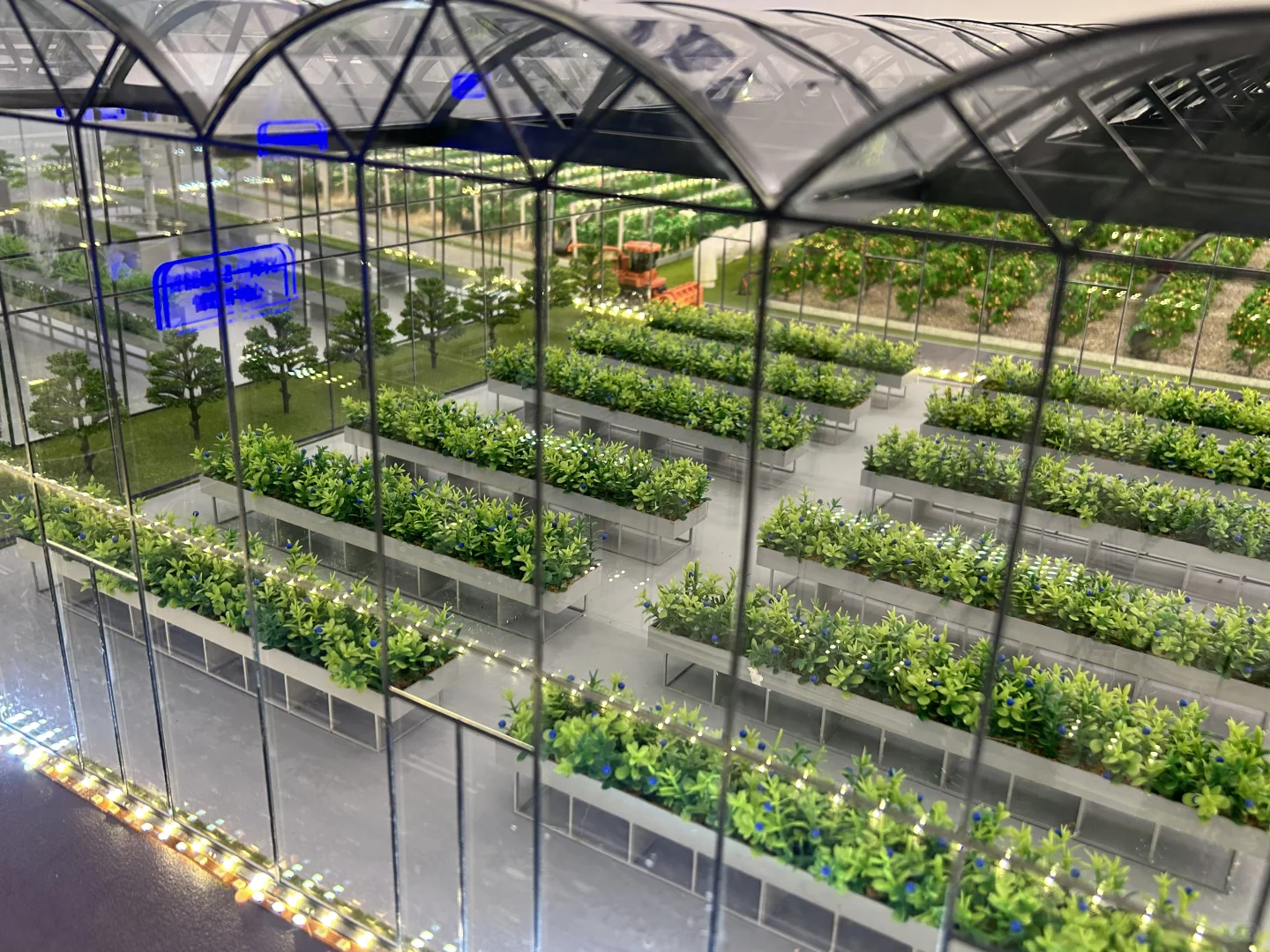 “未来已来”：广西的科技感十足