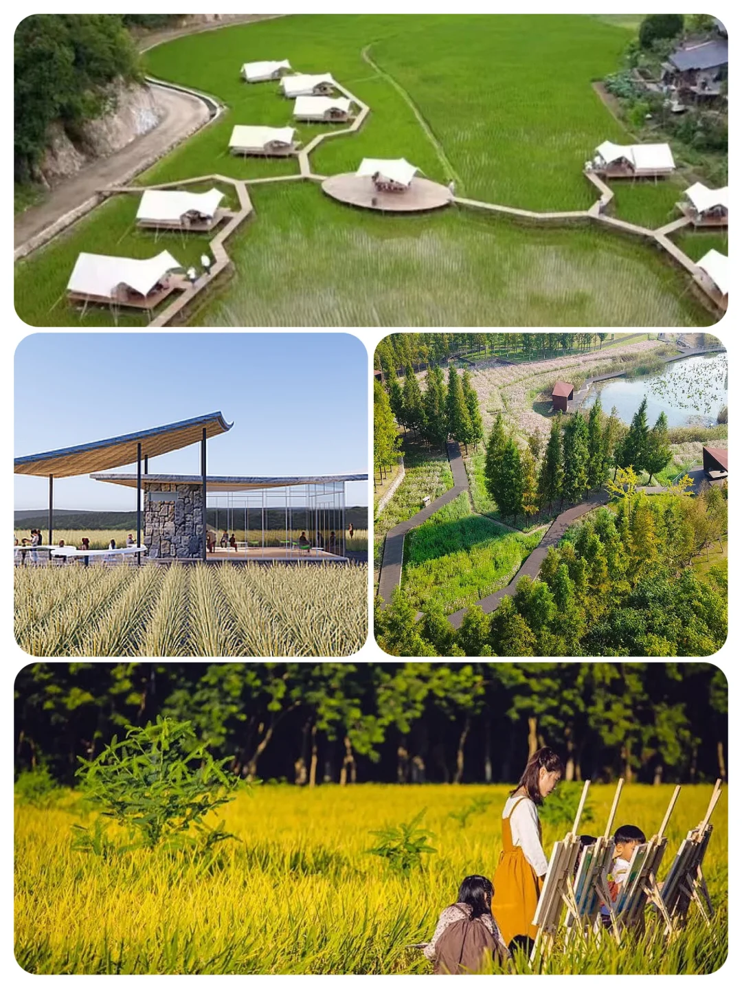 火了很多年的乡村文旅