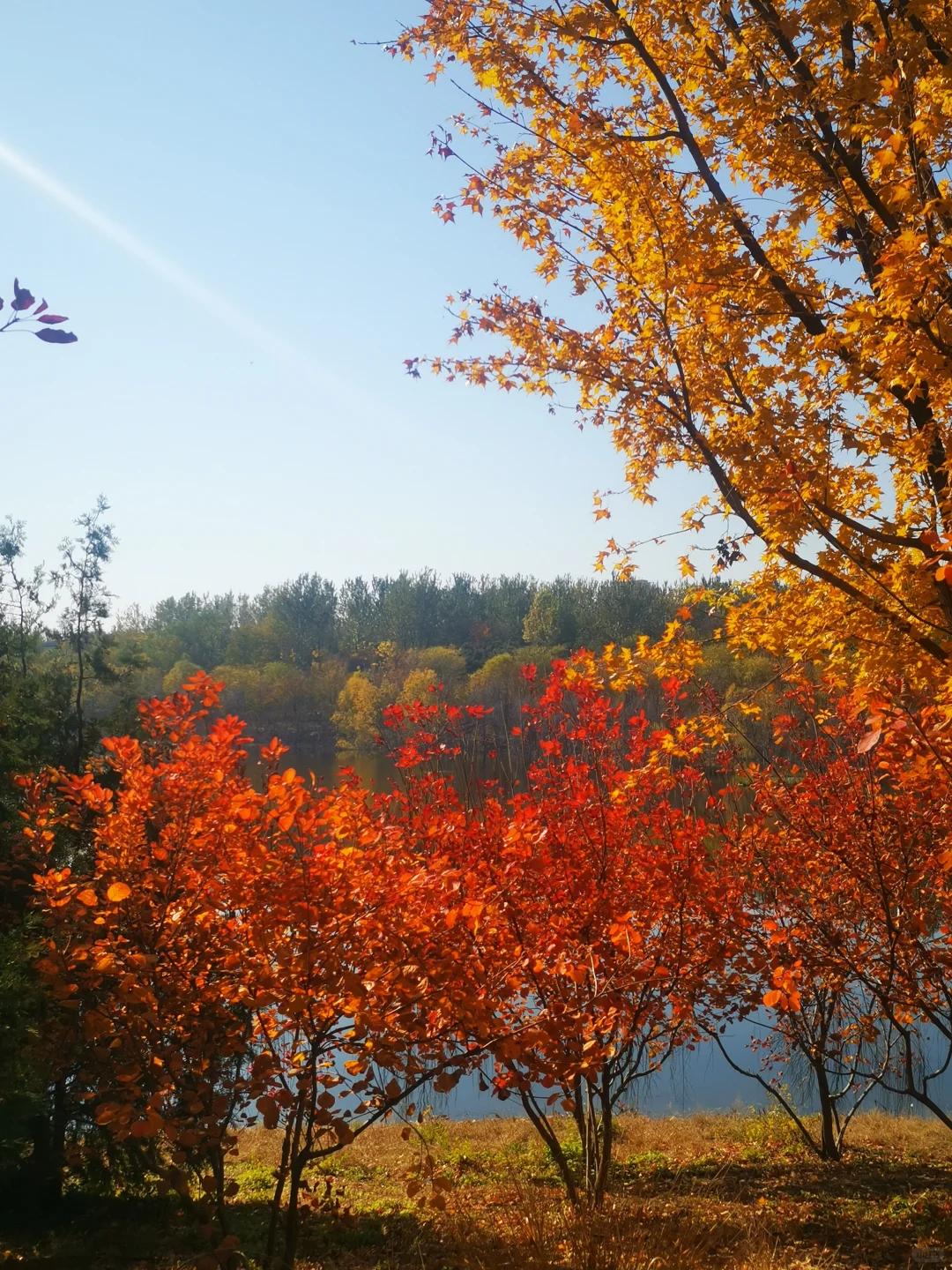 北京市西郊雨洪调蓄工程