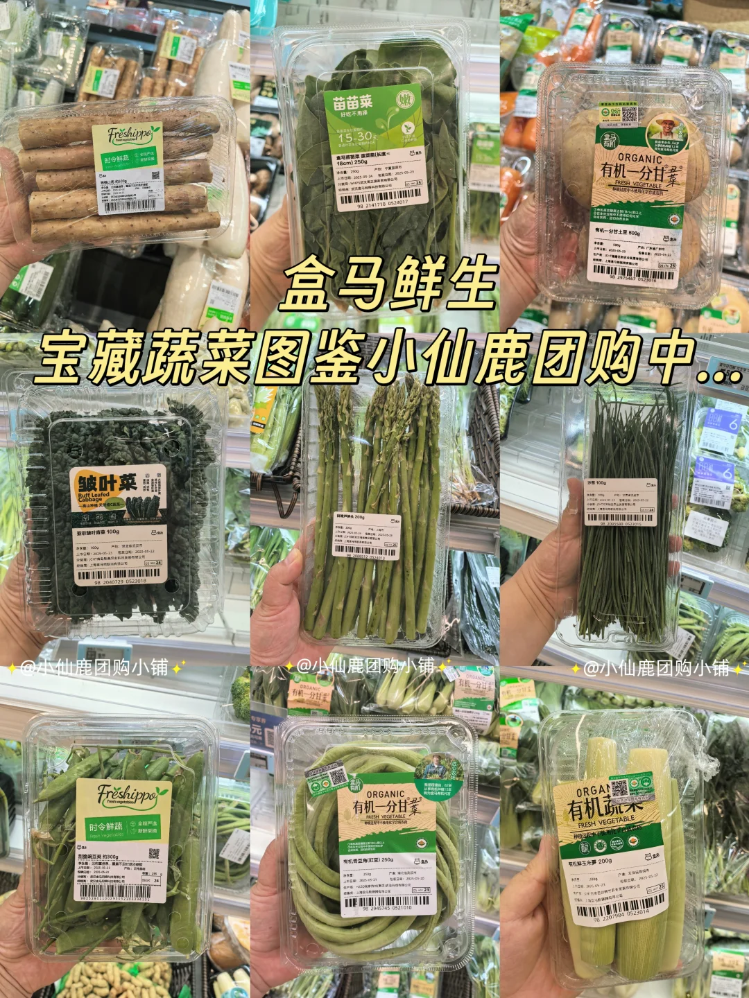 ?盒马鲜生宝藏蔬菜图鉴