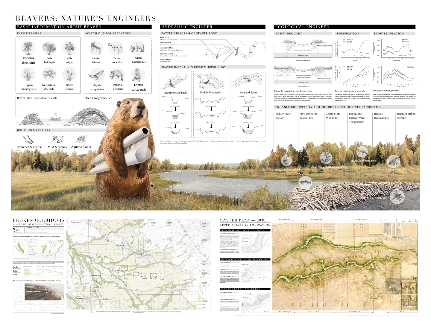 ASLA2025 | 和海狸一起修复地球