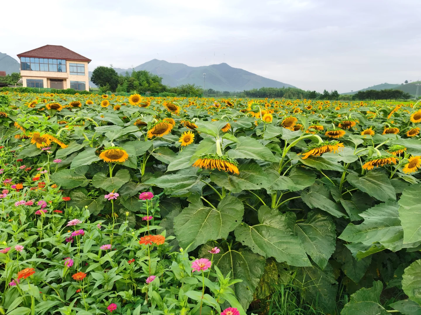 如何开发农村旅游资源？