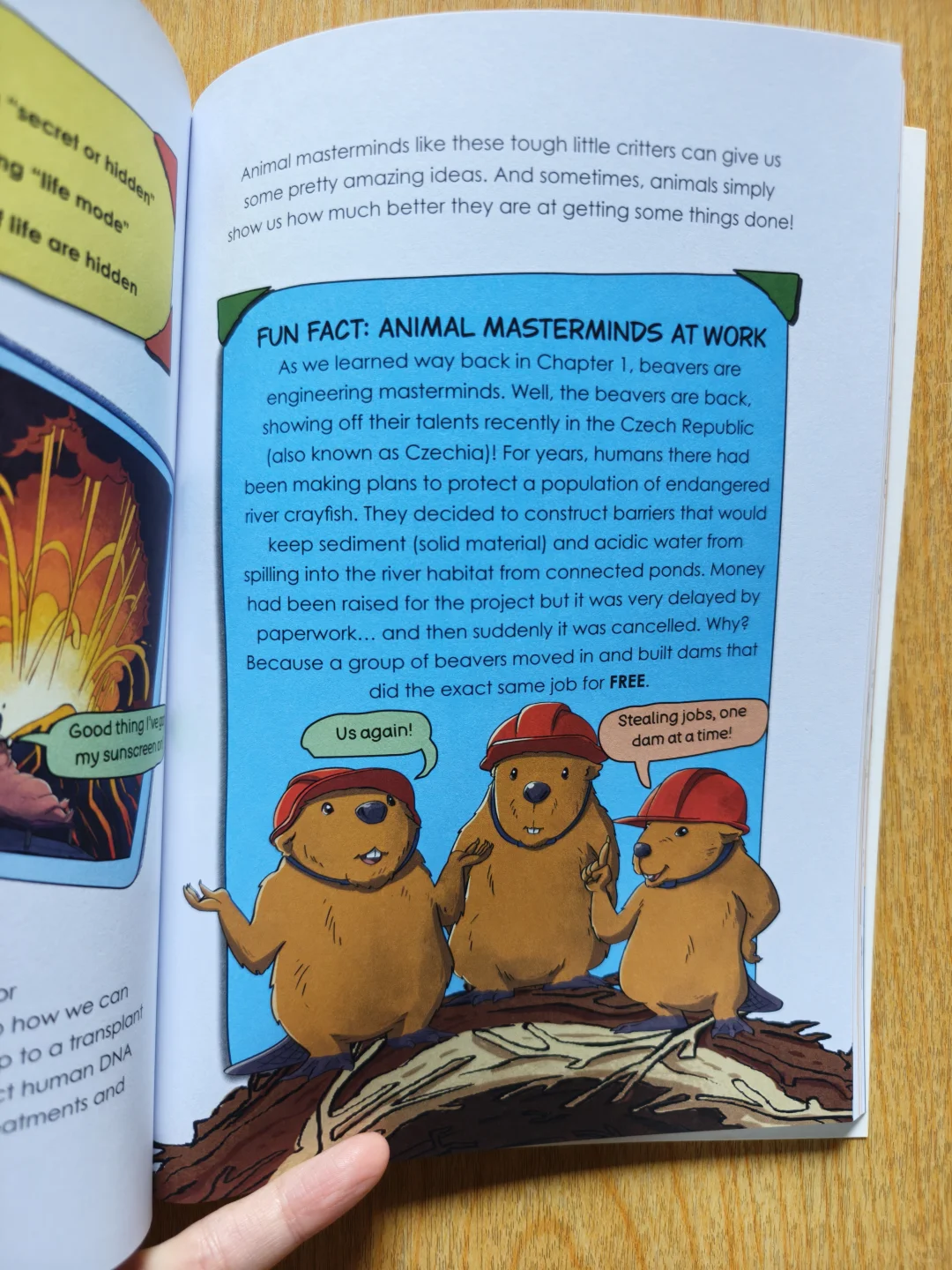 海狸の建筑天赋：看完它的豪宅我承认我酸了