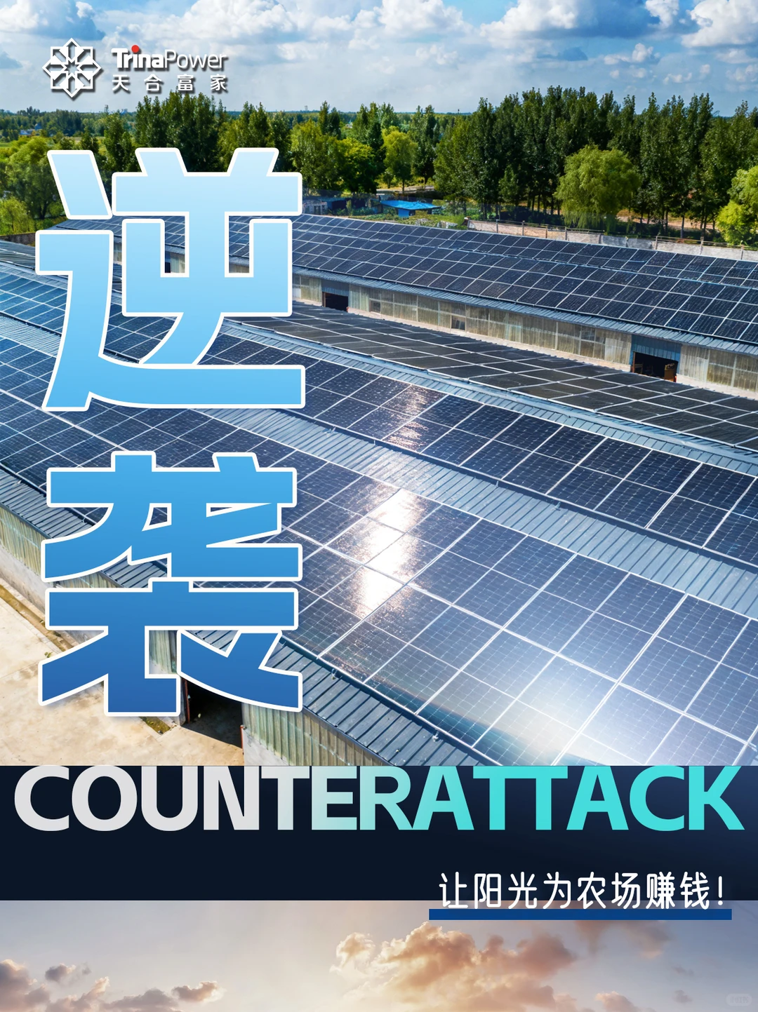 「光伏 + 养殖」解锁农业新玩法！