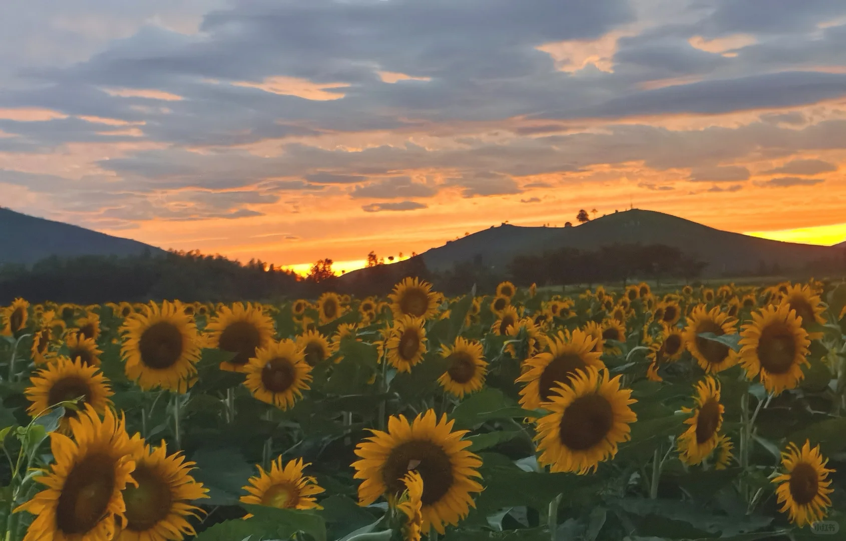 如何开发农村旅游资源？