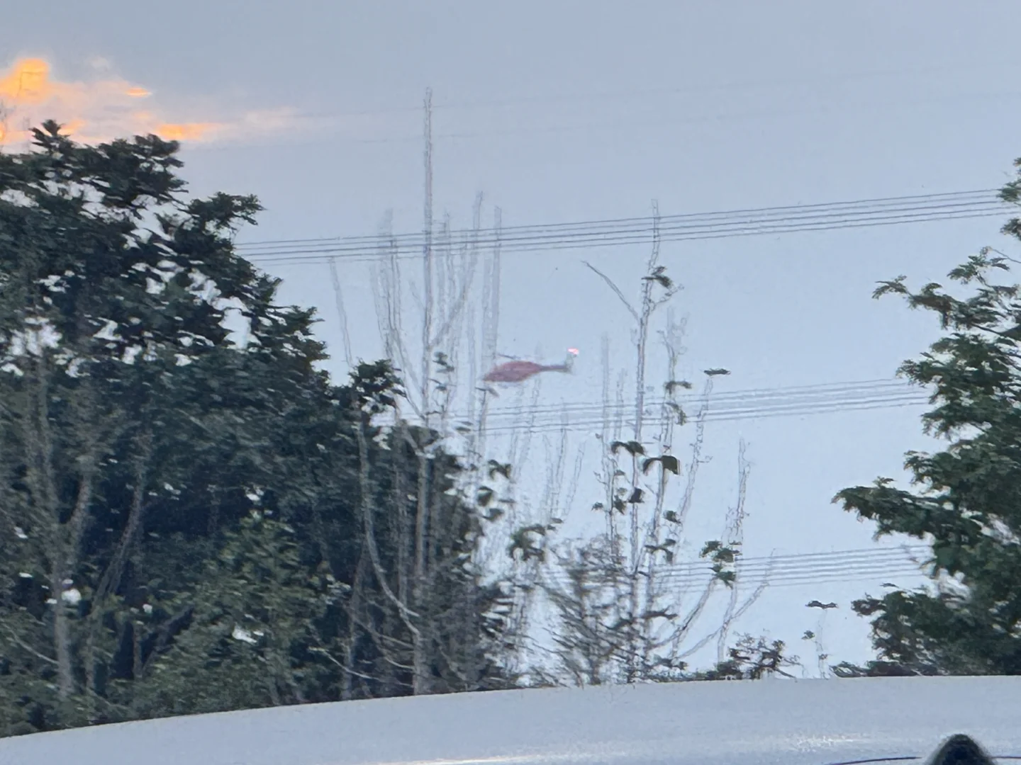 看到小小的卜 支援回上海啦