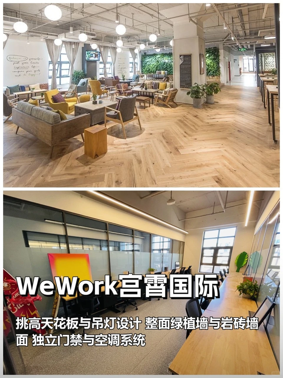 真房｜WeWork宫霄国际 |35㎡起 |998 |共享
