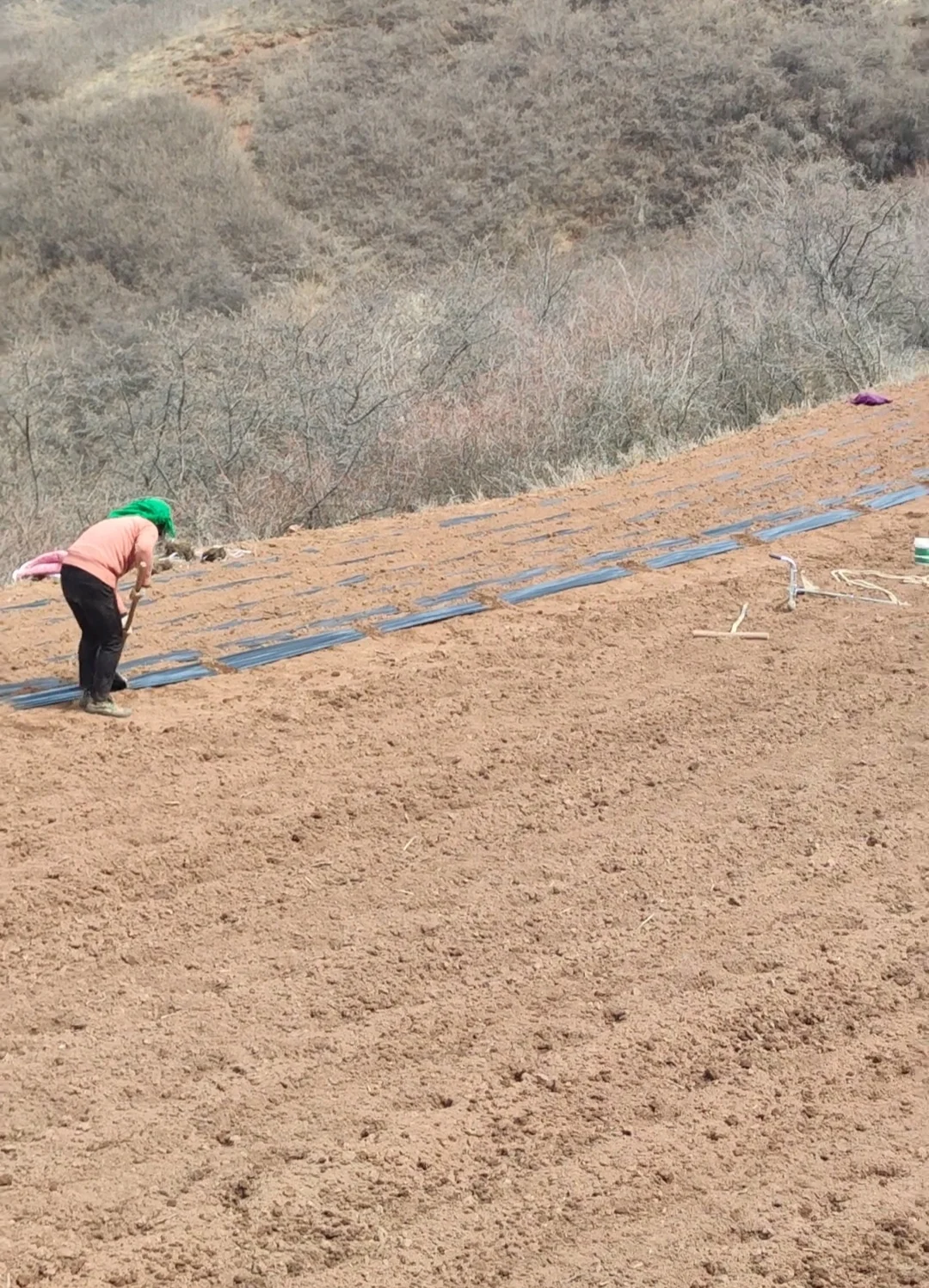 读了大学有什么用？还不是回来种地了