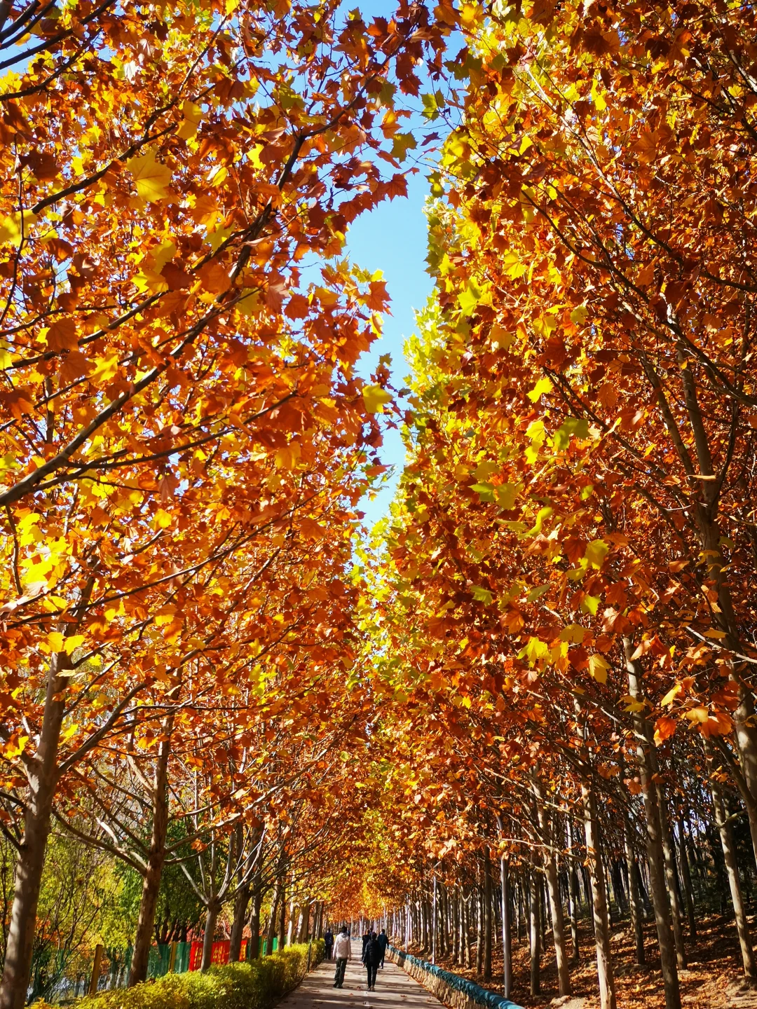 北京市西郊雨洪调蓄工程