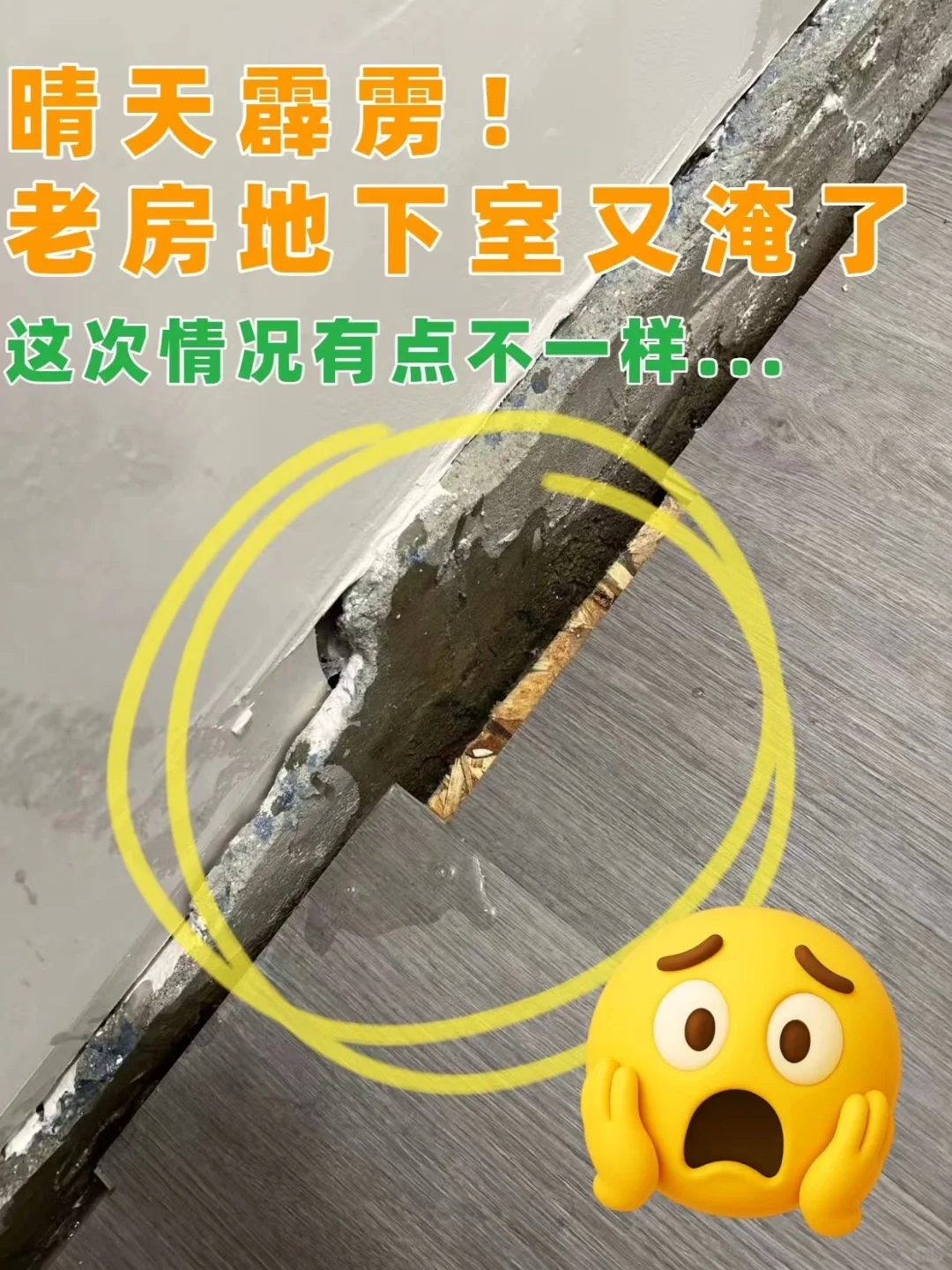 重生记｜地下室变身