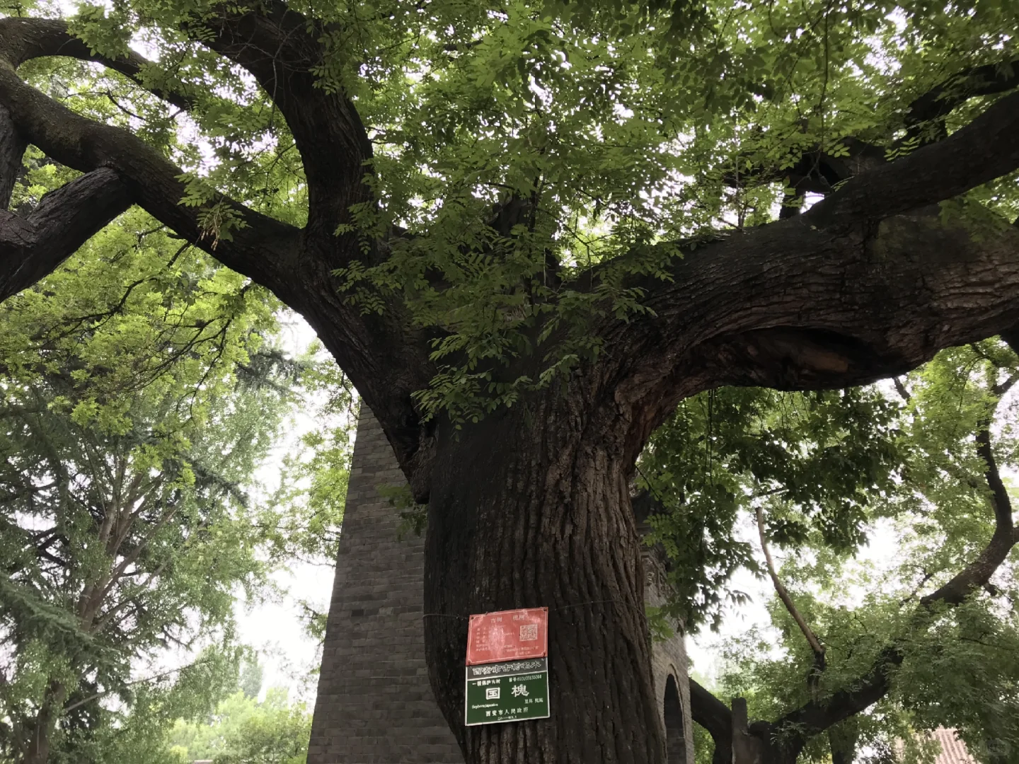 20｜damage is a certainty