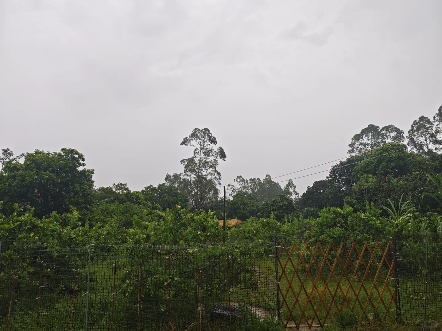 果园出租 农庄转让 着急拆伙出手