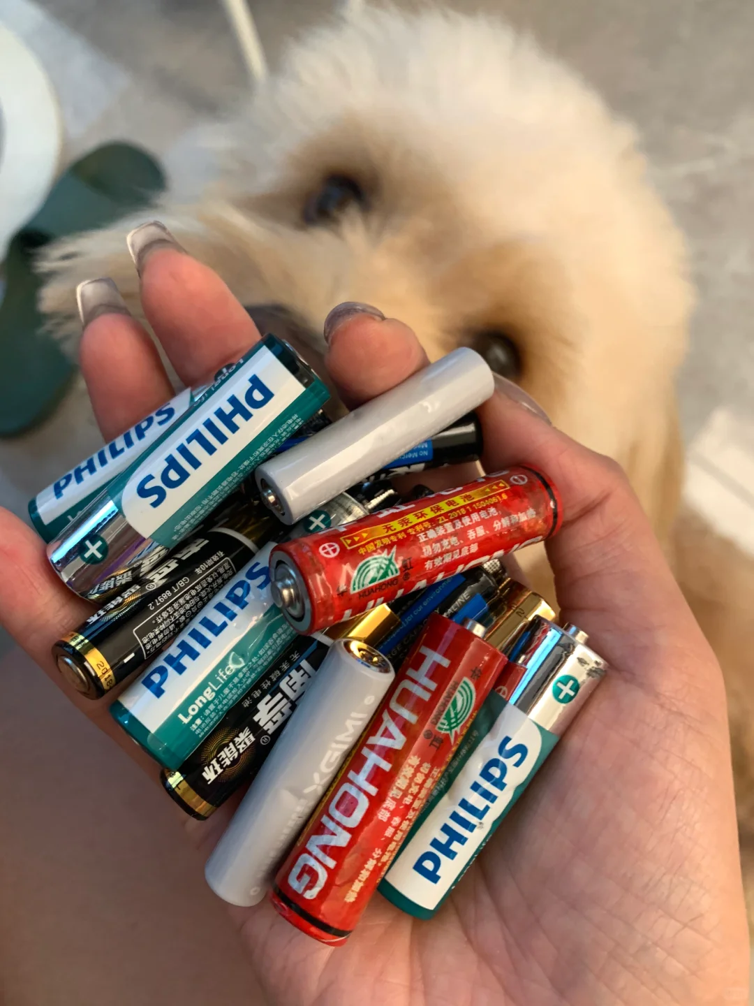 热知识：家用废旧干电池可以直接扔！