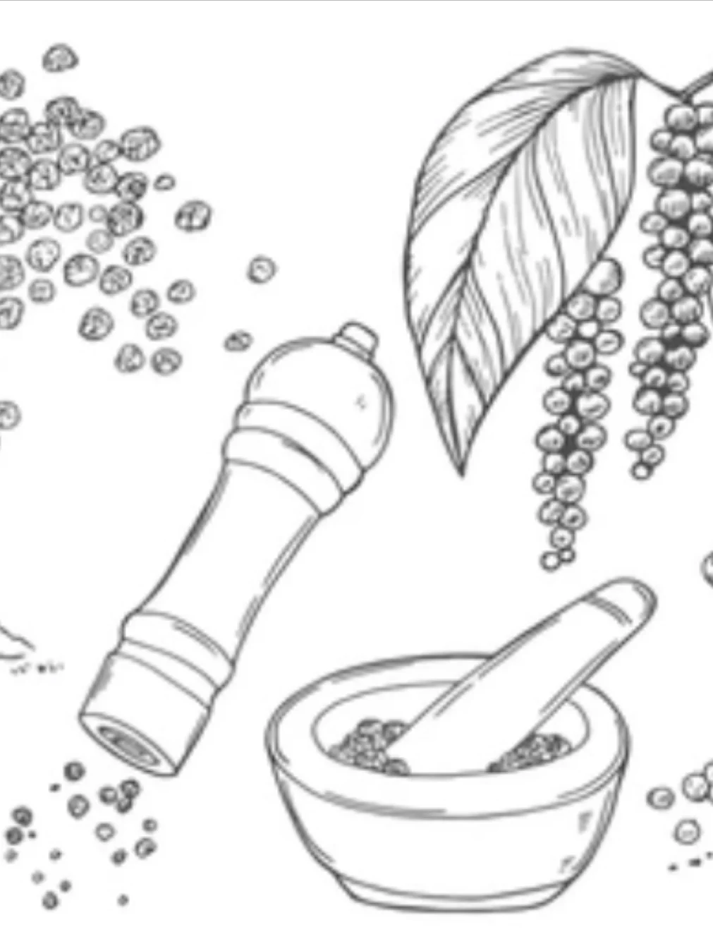 2025.11雅思听力亚太机考P4题库补丁：香料